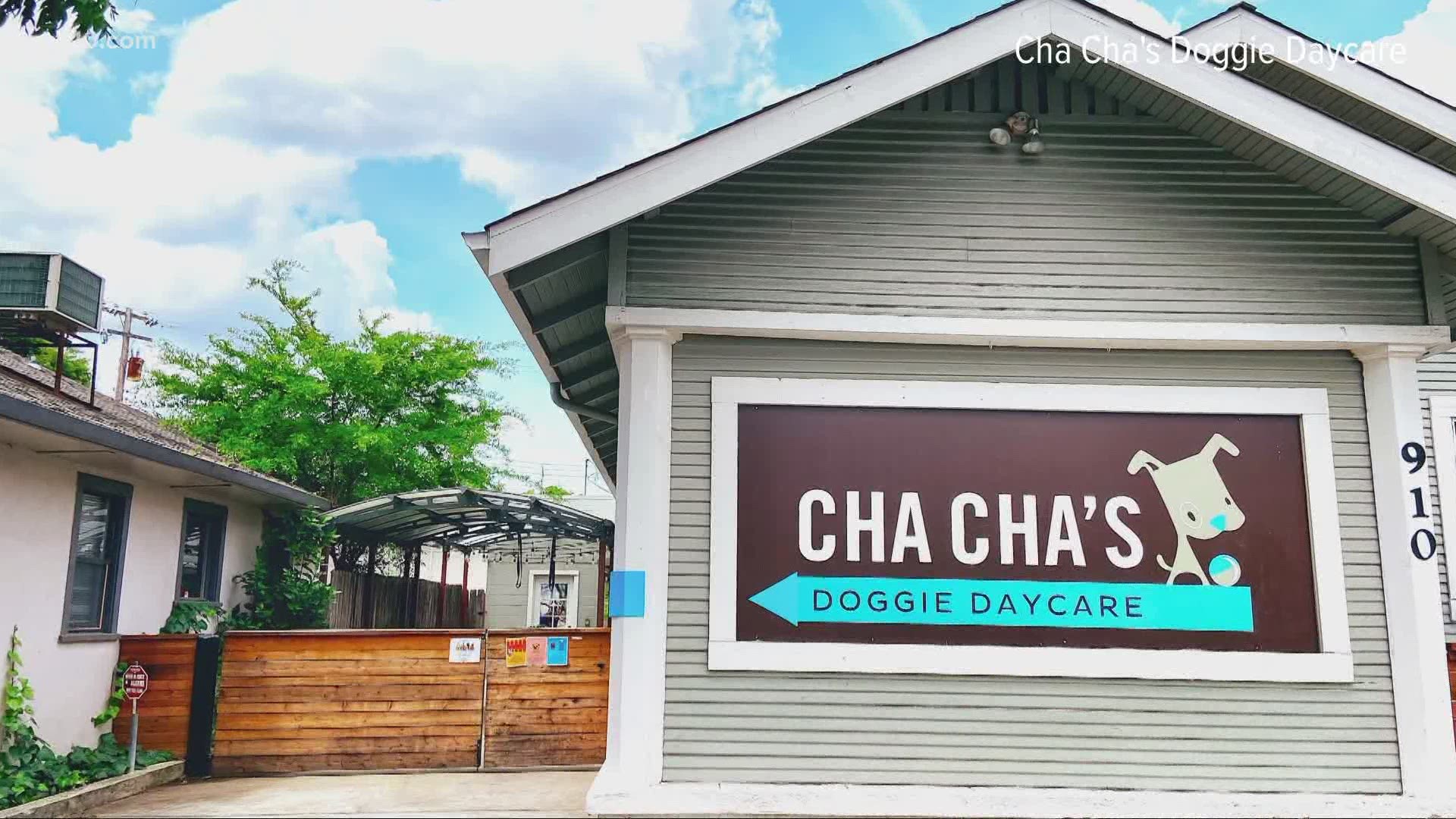 Cha Cha's, an East Sacramento doggie daycare, is one of four small local businesses that received Comcast's assistance.