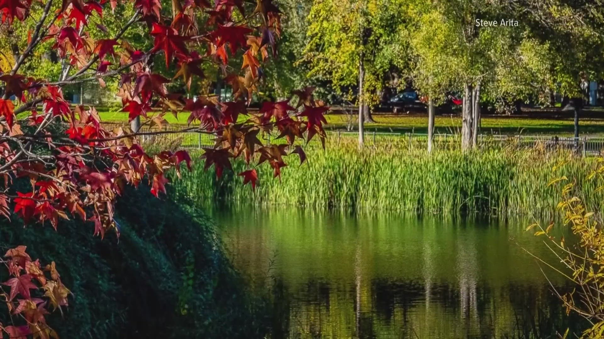 A look at weather impacts on fall colors