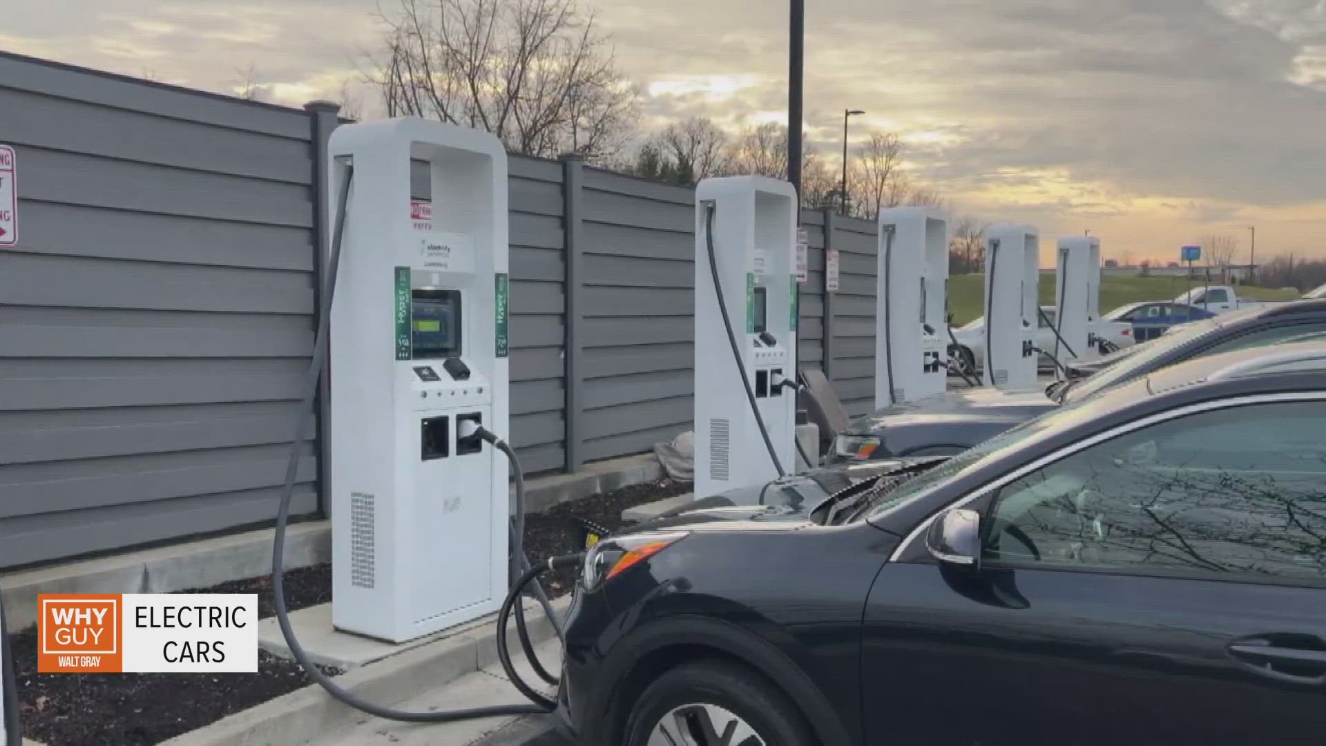 Are electric vehicles getting more popular?