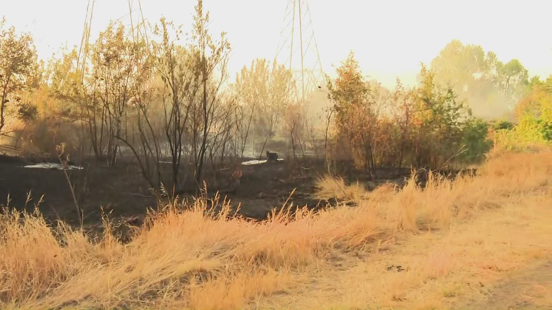 A one acre vegetation fire popped up Monday morning behind the Costco near Cal Expo.
