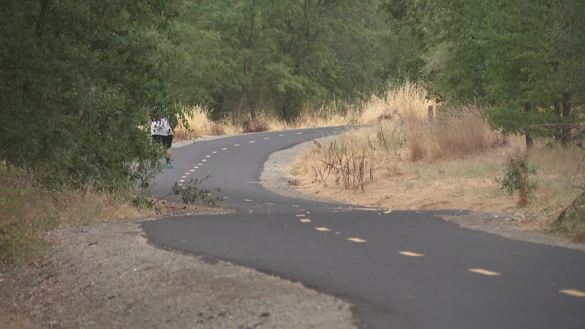 California Fish & Wildlife to install cameras in central Roseville after mountain lion sightings