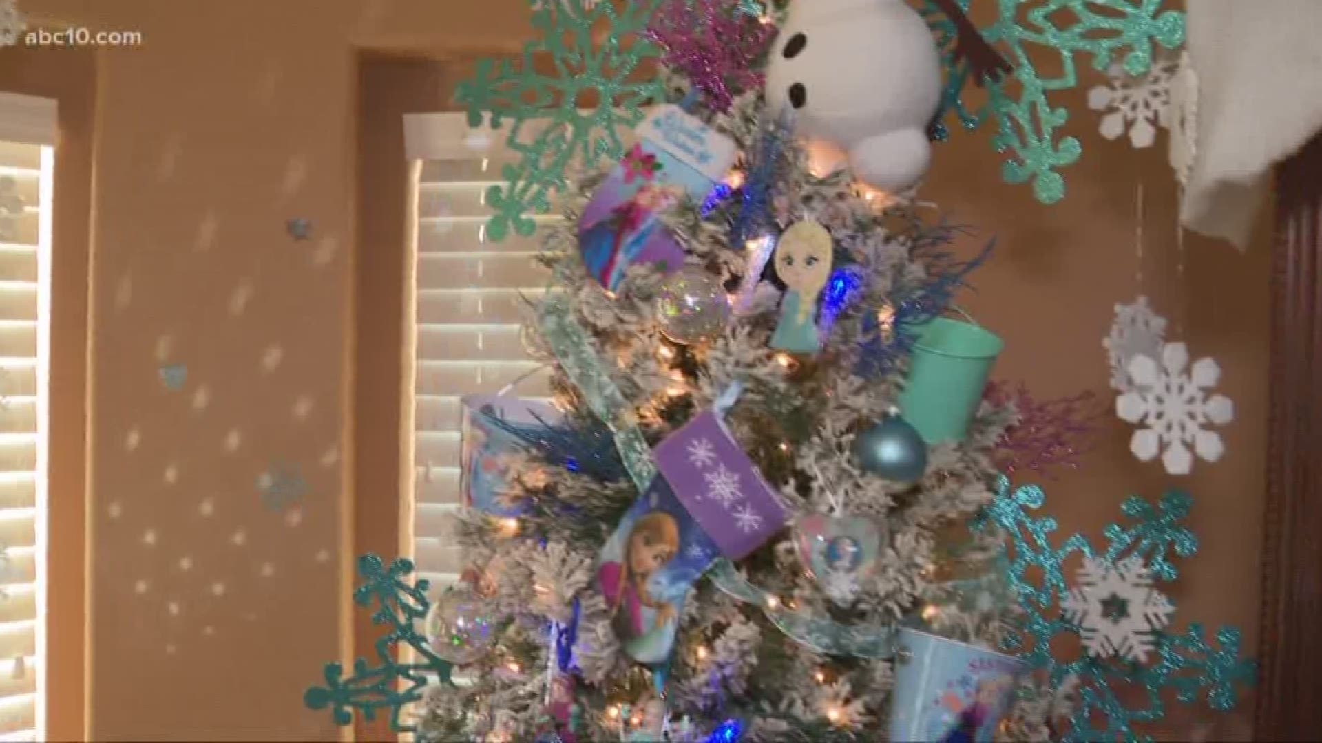 A family in El Dorado Hills puts up 37 Christmas trees to help get toys for kids in need.