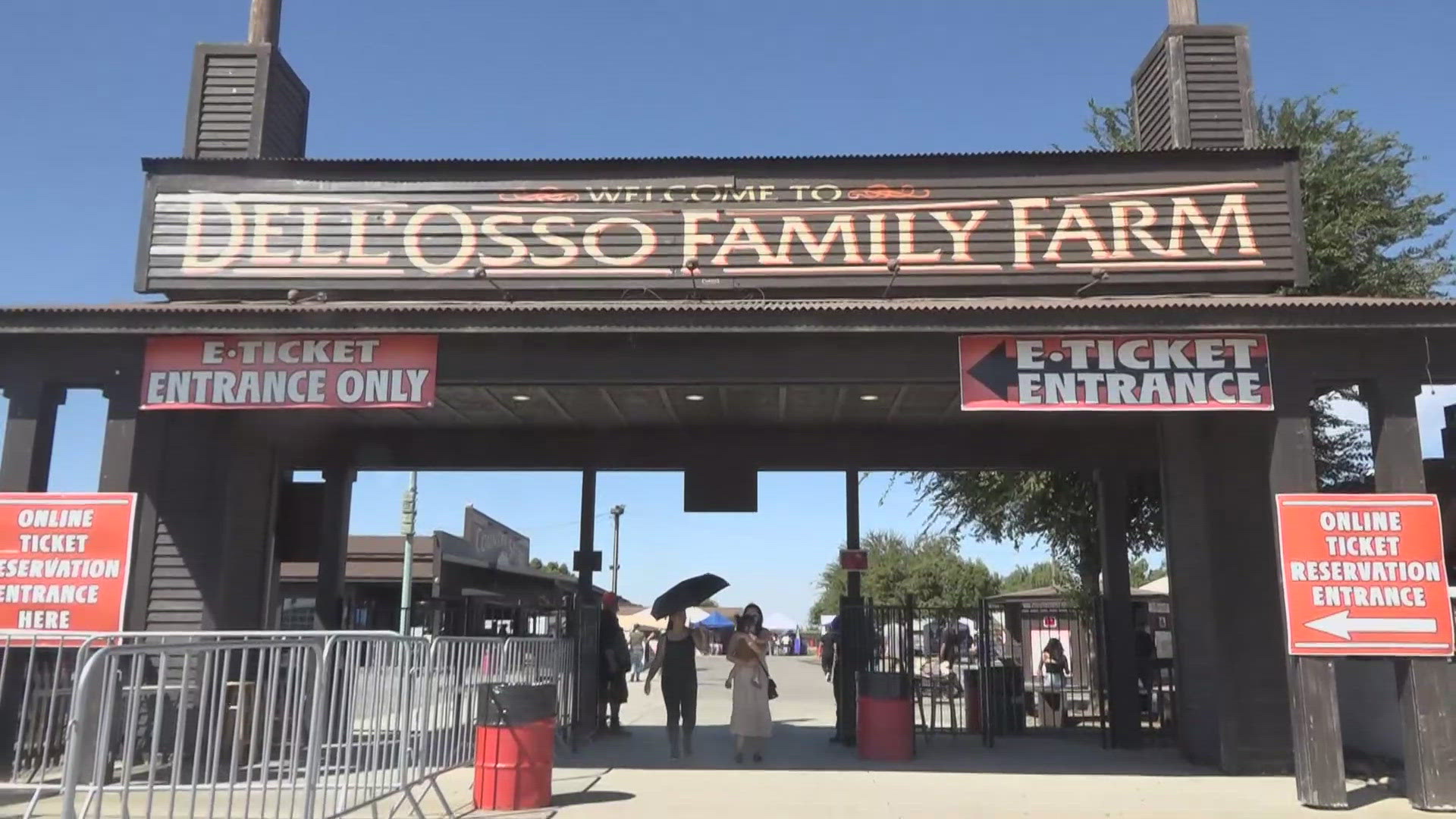 Lathrop's longtime pumpkin patch and corn maze, Dell'Osso Family Farm, opened Friday, but for the venue's opening weekend, it felt more like summer than fall.