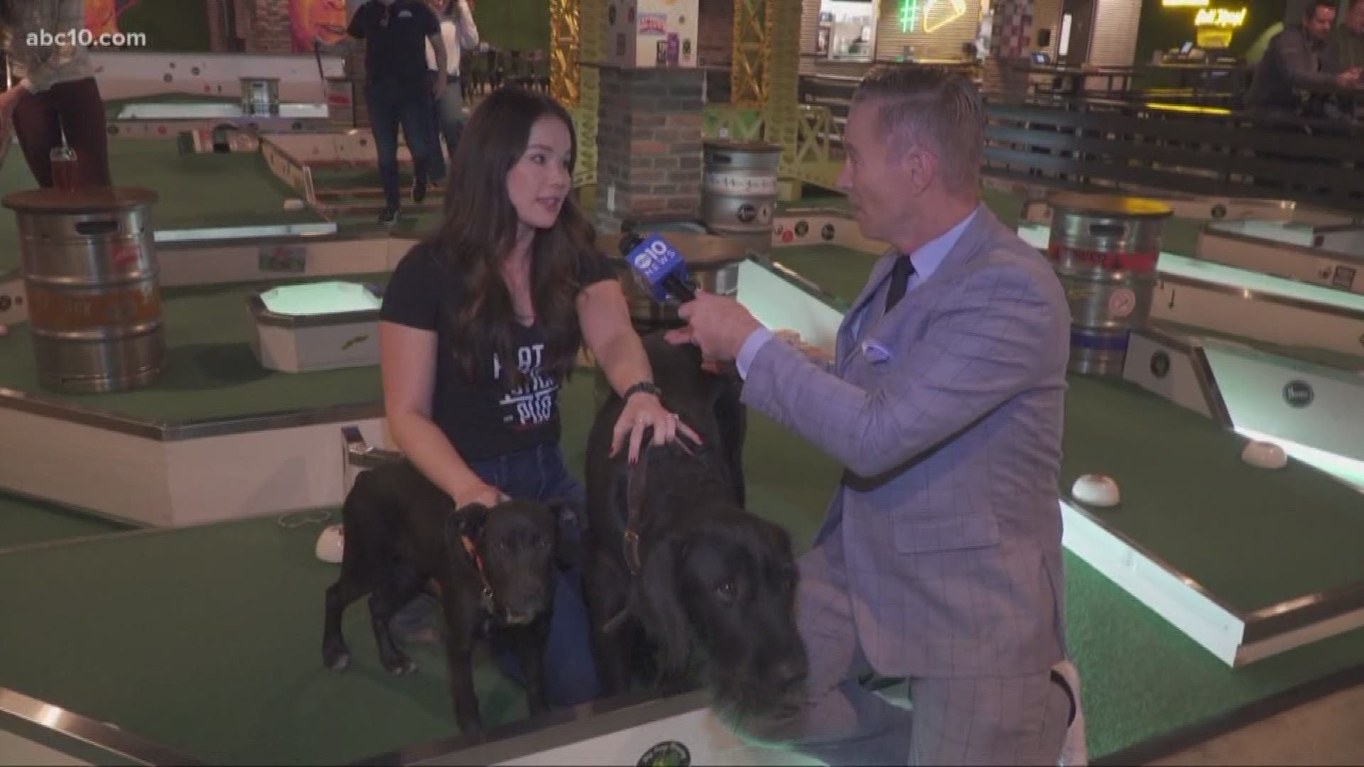 Every Sunday in March the Sacramento SPCA and DOCO’s Flatstick Pub are teaming to raise money in an event called Putts & Pups! Mark S. Allen checked it out.