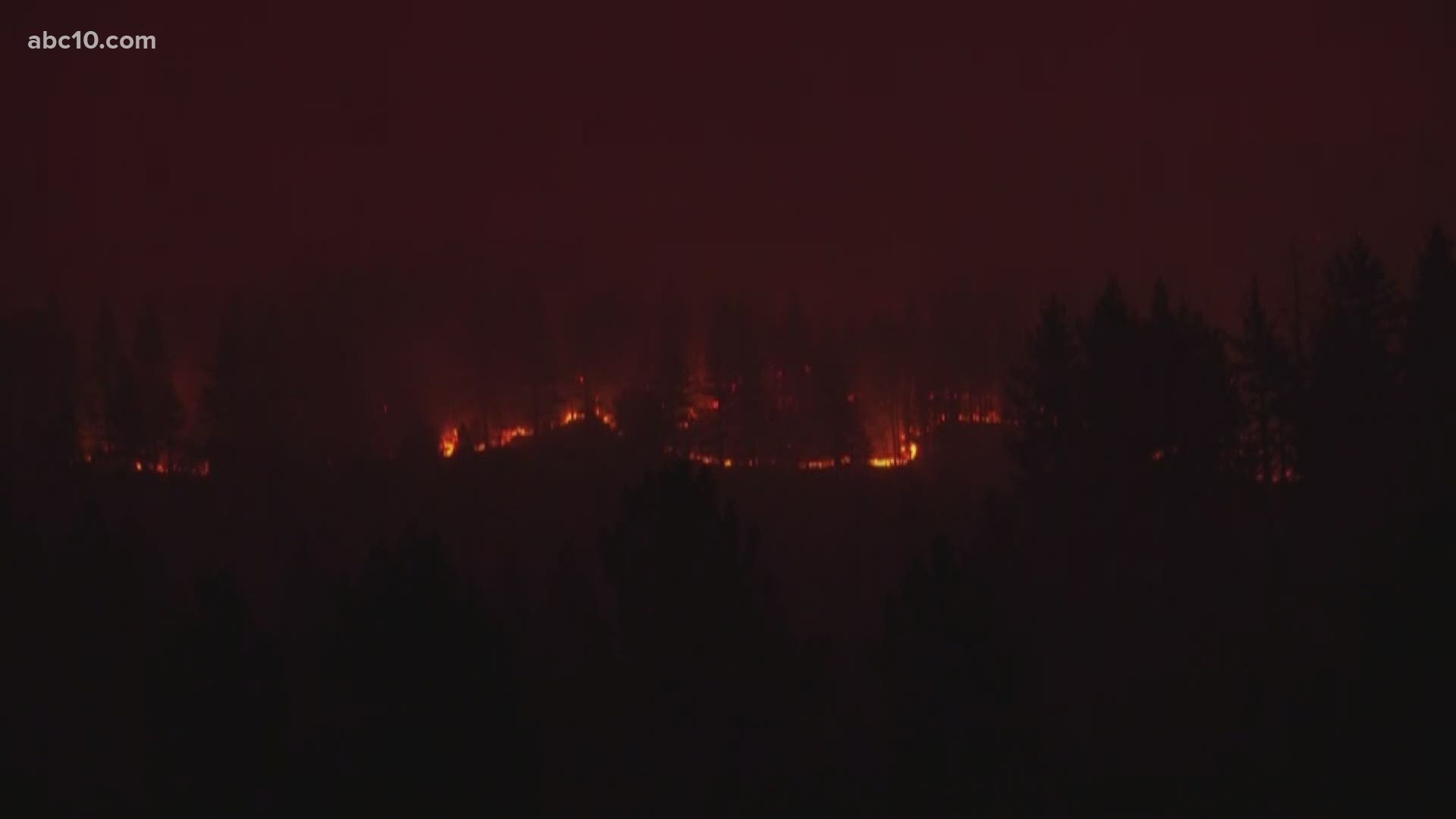 The Tamarack Fire has burned 500 acres near Markleeville and Pleasant Valley, according to the Humboldt Toiyabe National Forest.