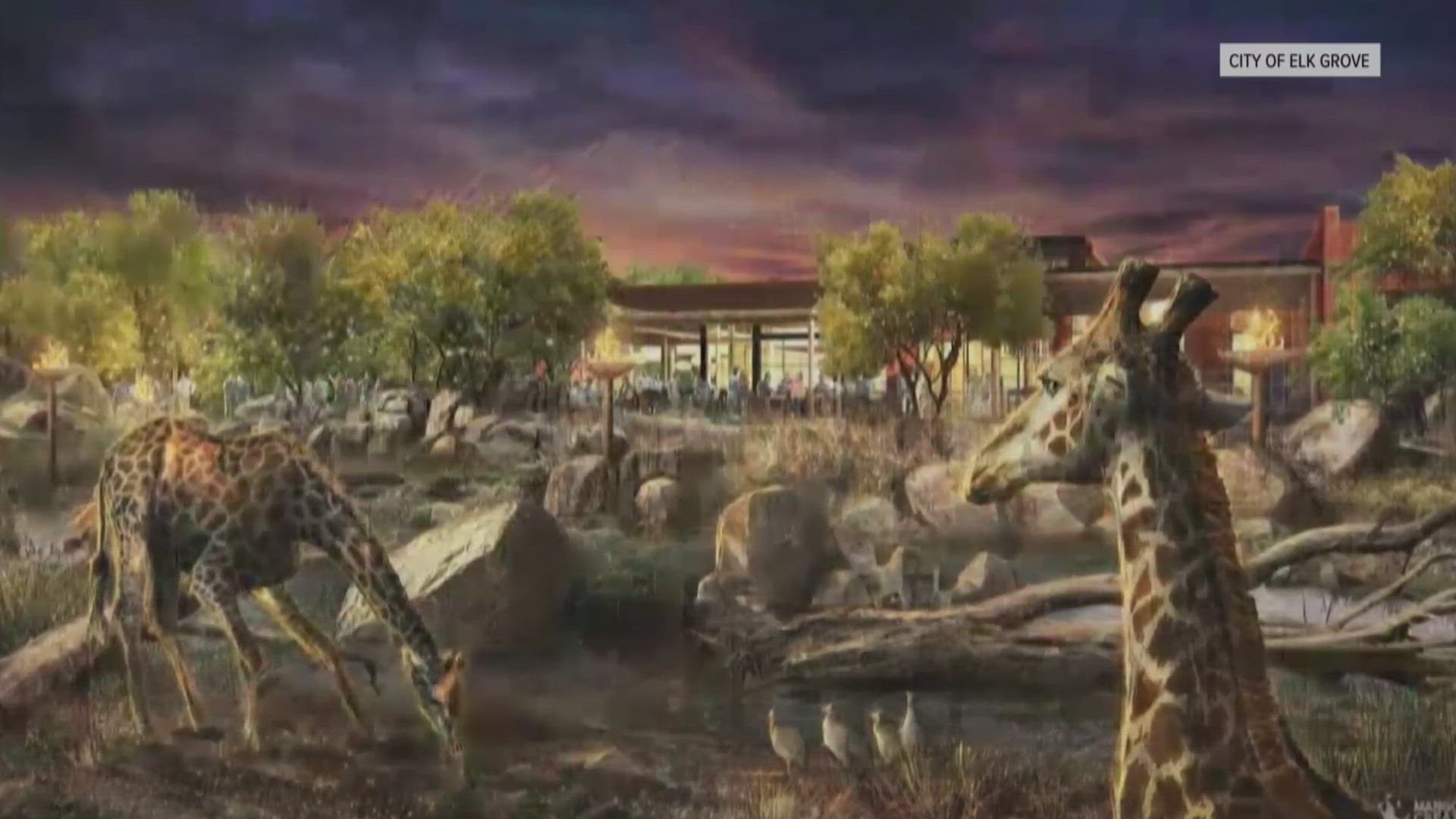 A post to the Sacramento Zoo’s website Thursday says the Sacramento Zoological Society announced the proposed new zoo in Elk Grove won’t be moving forward.