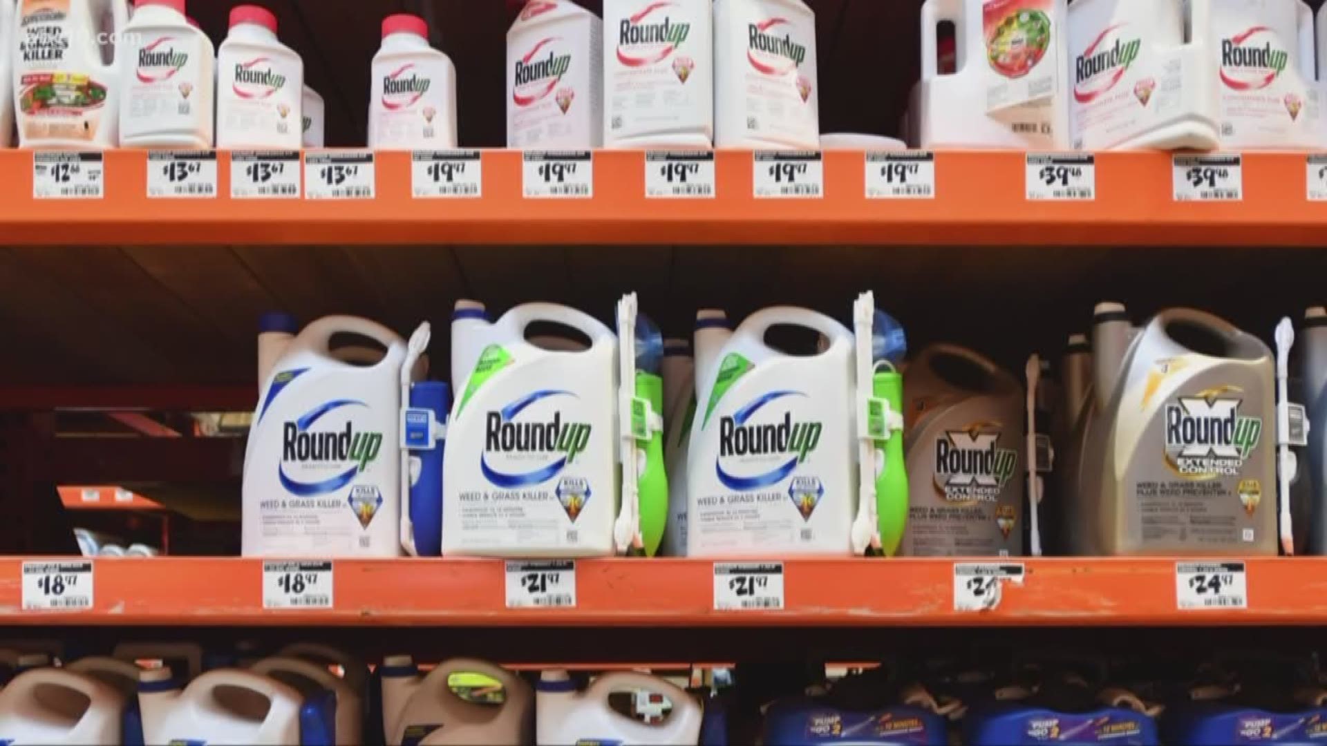 Roundup weed killer was a substantial factor in a California man's cancer, a jury determined Tuesday in the first phase of a trial that attorneys said could help determine the fate of hundreds of similar lawsuits.
