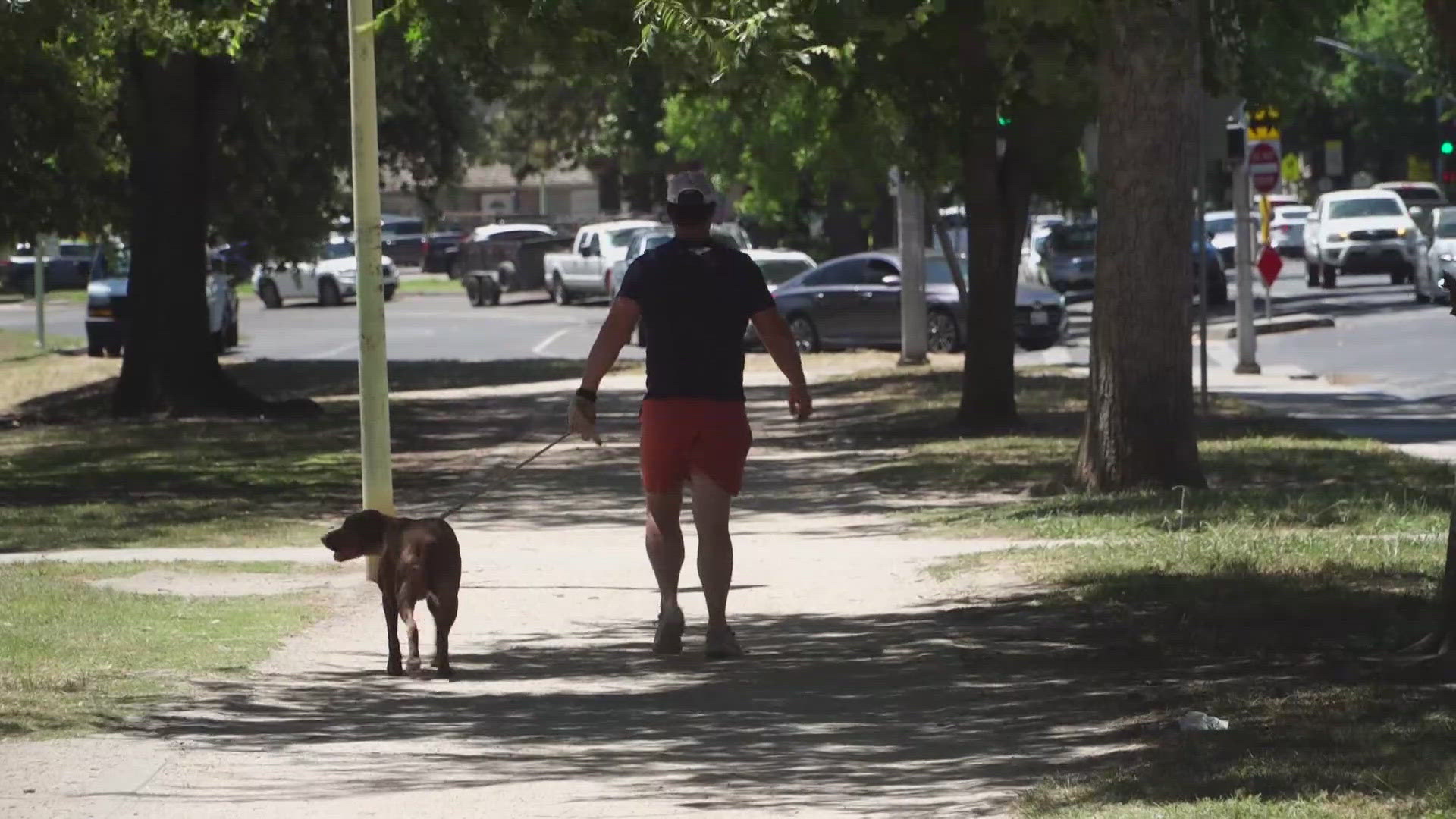 Anyone can be at risk, whether you’re a seasoned athlete or someone just walking their dog.