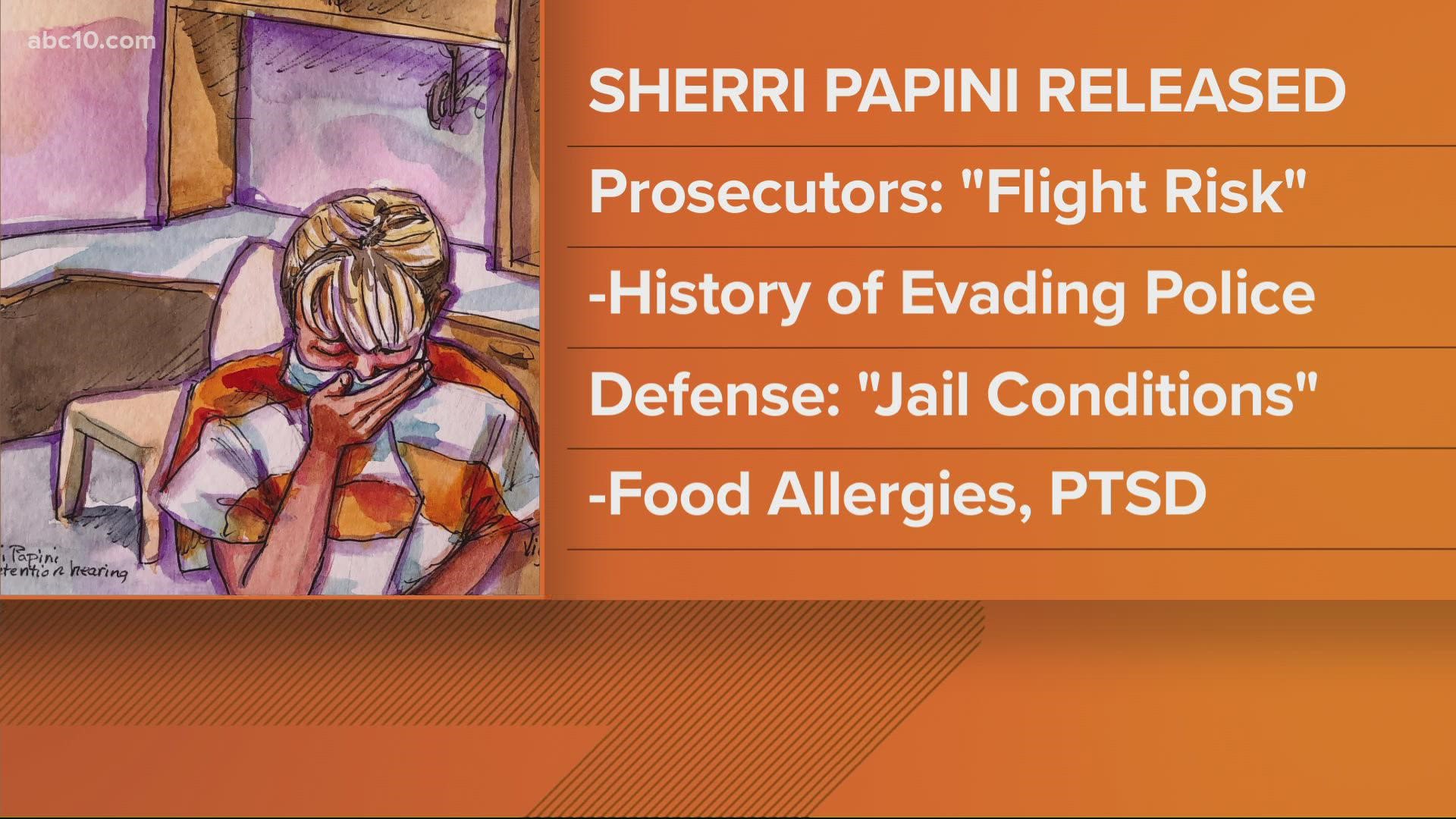 At the bail hearing for the woman accused of fabricating her kidnapping in 2016, federal prosecutors argued Sherri Papini was a flight risk.