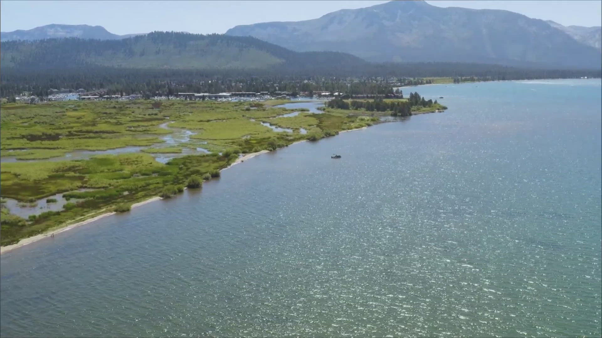 Could Tahoe turn green? ABC10 meteorologist Brenden Mincheff went to the lake to find out.