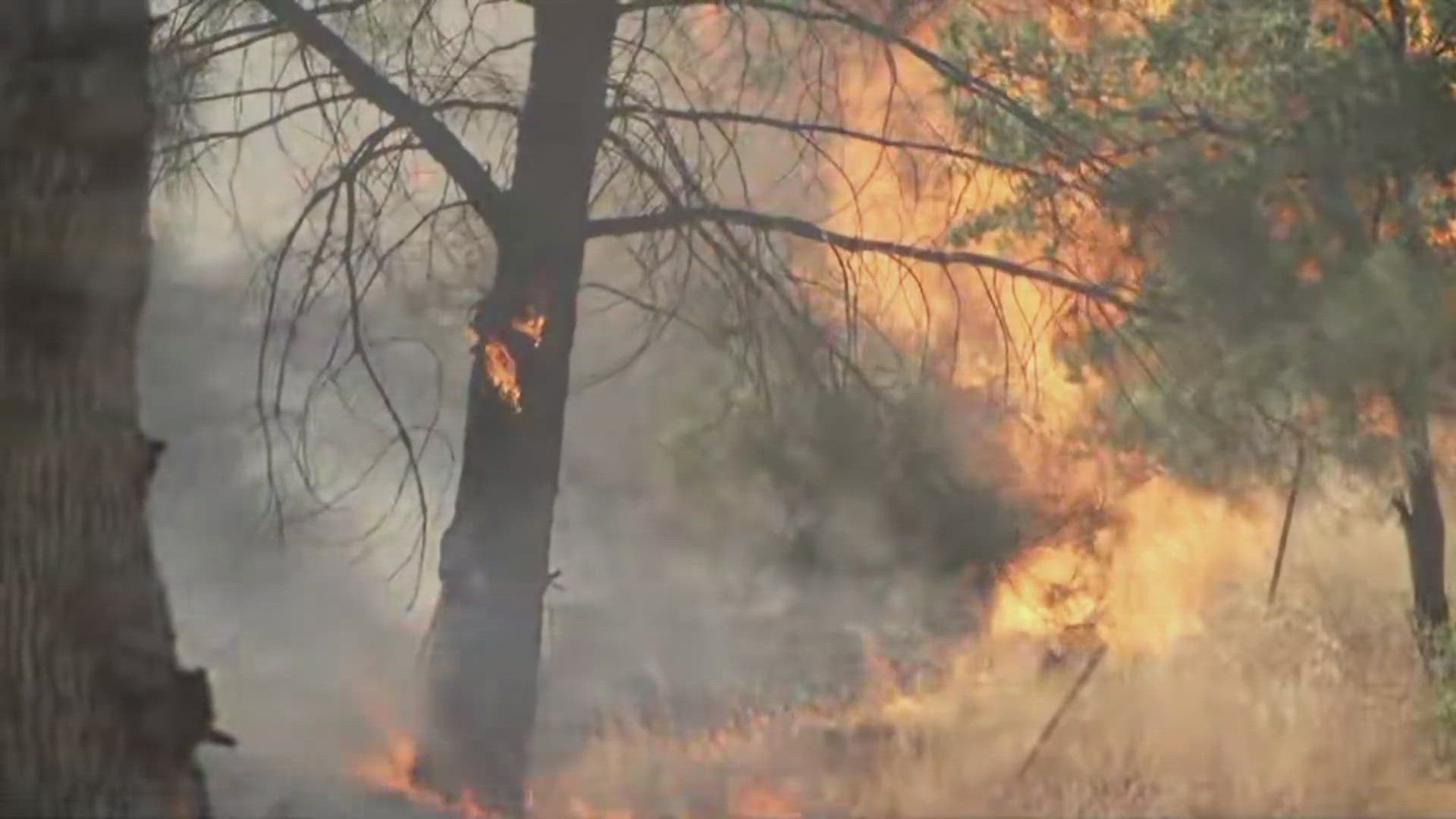 Thompson Fire in Butte County prompts evacuations, burns thousands of ...