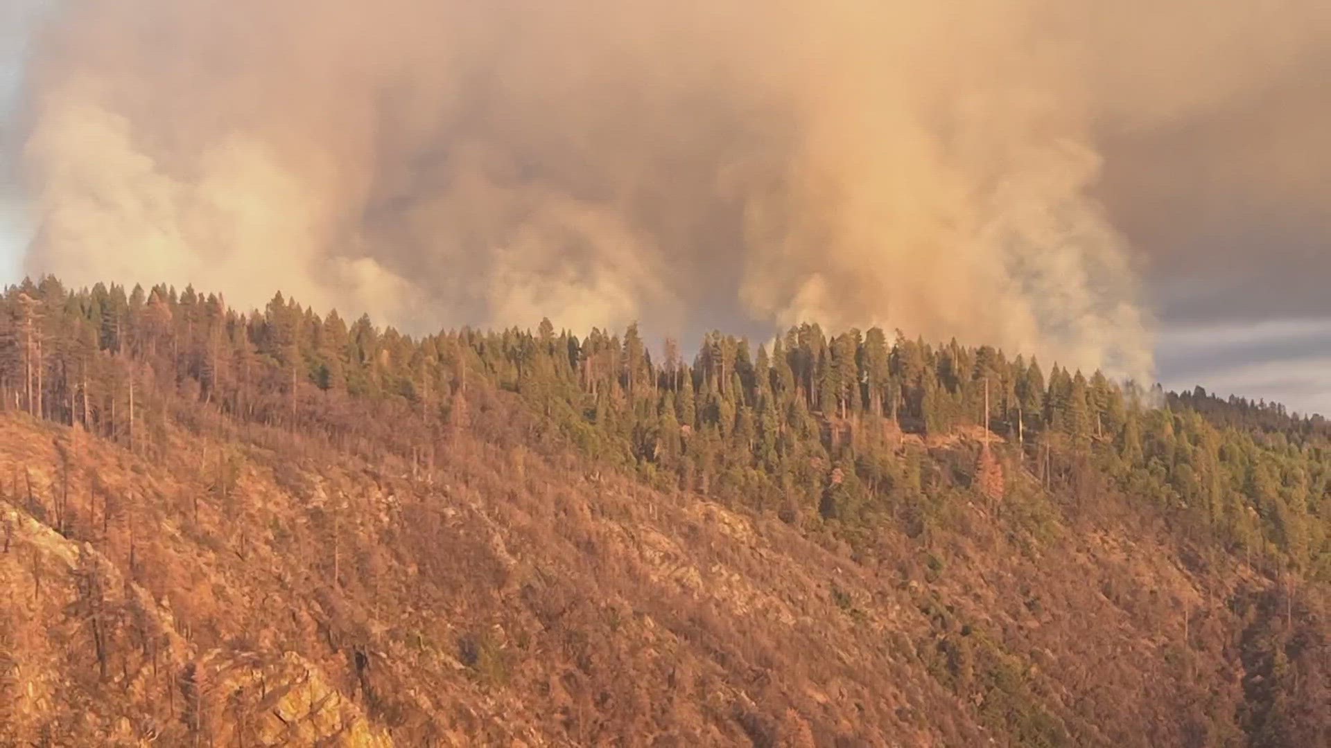 14 miles from the small town of Foresthill, a prescribed burn was going on to help prevent and mitigate wildfire.