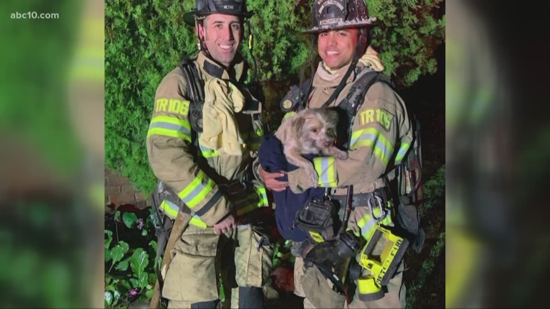 A video from Sacramento Metropolitan Fire District shows the rush to save a dying dog after it was found during a house fire Thursday.  On Monday, ABC10's Madison Meyer spoke with the heroic firefighters about the tense rescue.