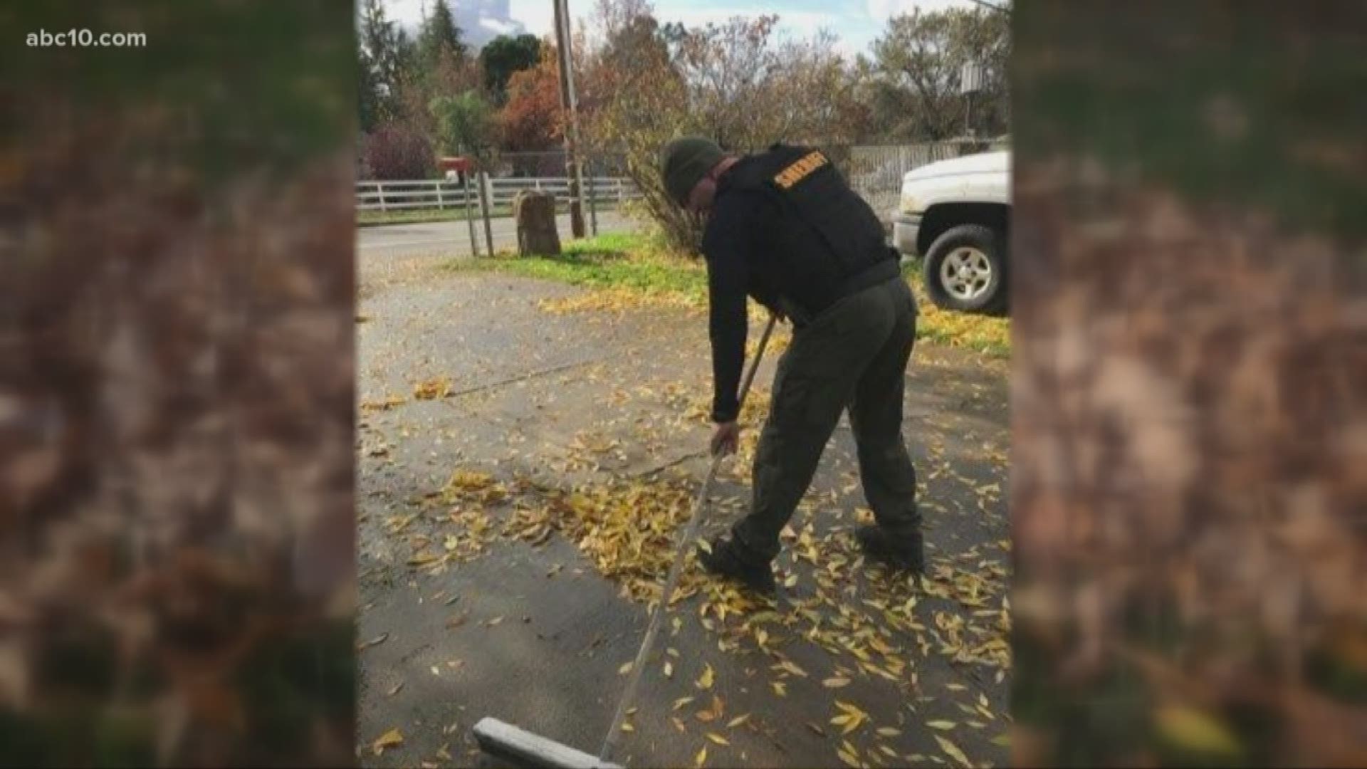 An arrest led an act of kindness, when Sacramento County Sheriff's Department Special Enforcement Detail (SWAT) realized the man they were taking, was helping an elderly veteran clean up his yard.