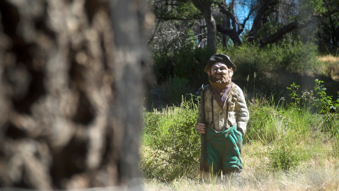 The world's biggest petrified trees are in the Napa Valley - Vimarsana News