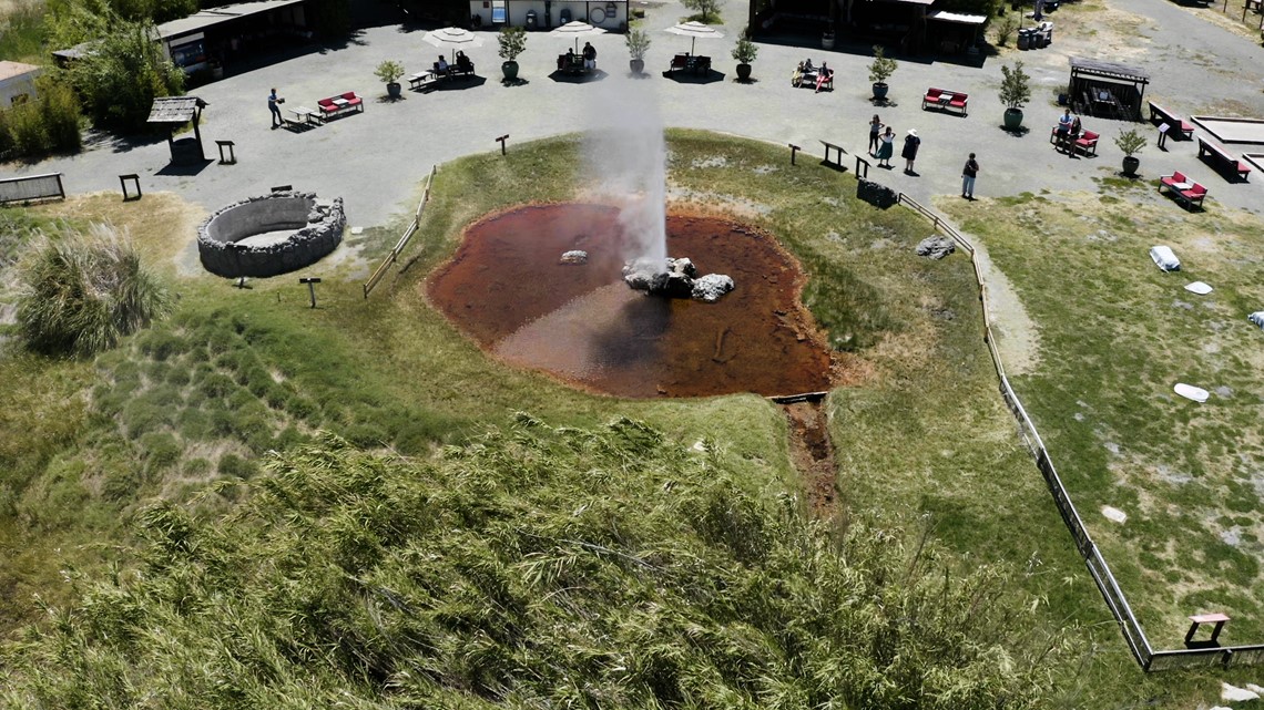 California's 'Old Faithful' still gushing through drought - Vimarsana News