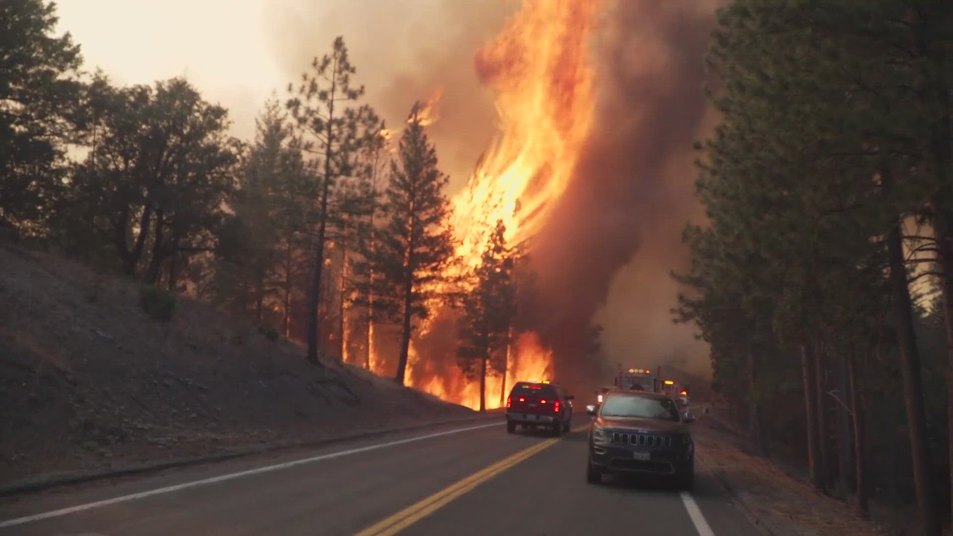 The Park Fire is the largest fire in California so far this year, surpassing the Lake Fire in Santa Barbara County.