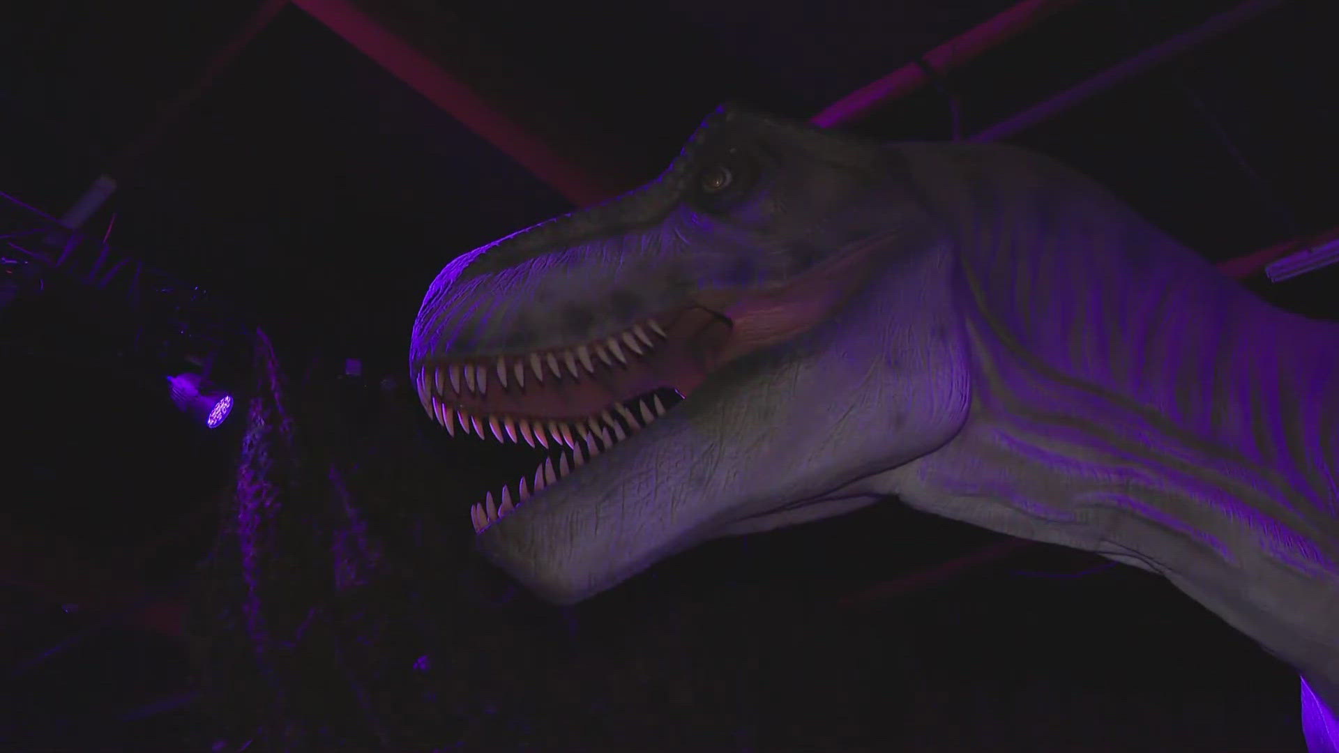 Dinosaurs come alive at the Dinos Alive Immersive Experience in Roseville