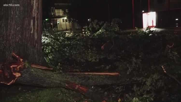 Storm Watch | Tree blocking road in downtown Sacramento