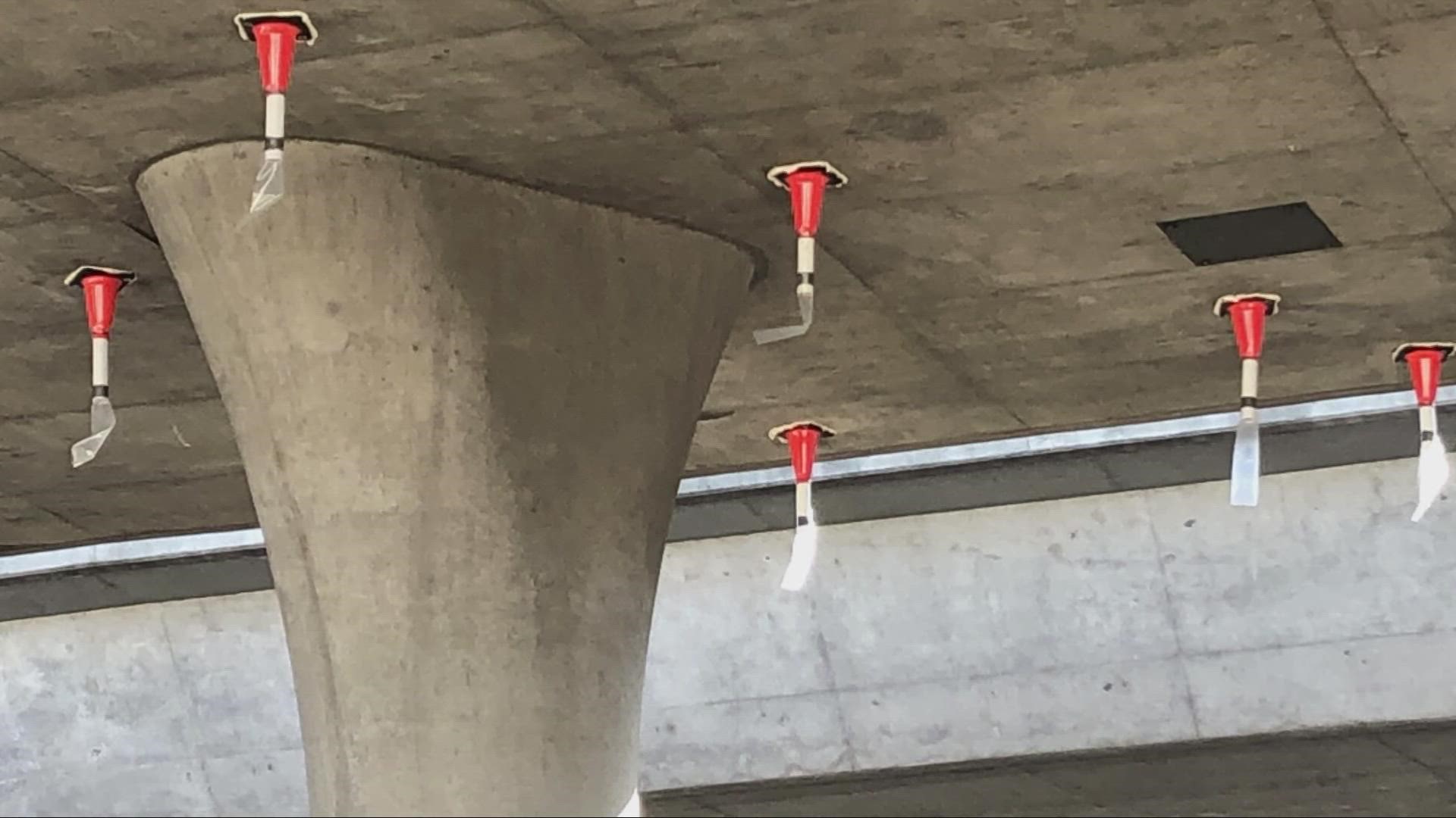 The cones, also known as exclusion devices, are intended to keep birds and bats safe during construction projects.
