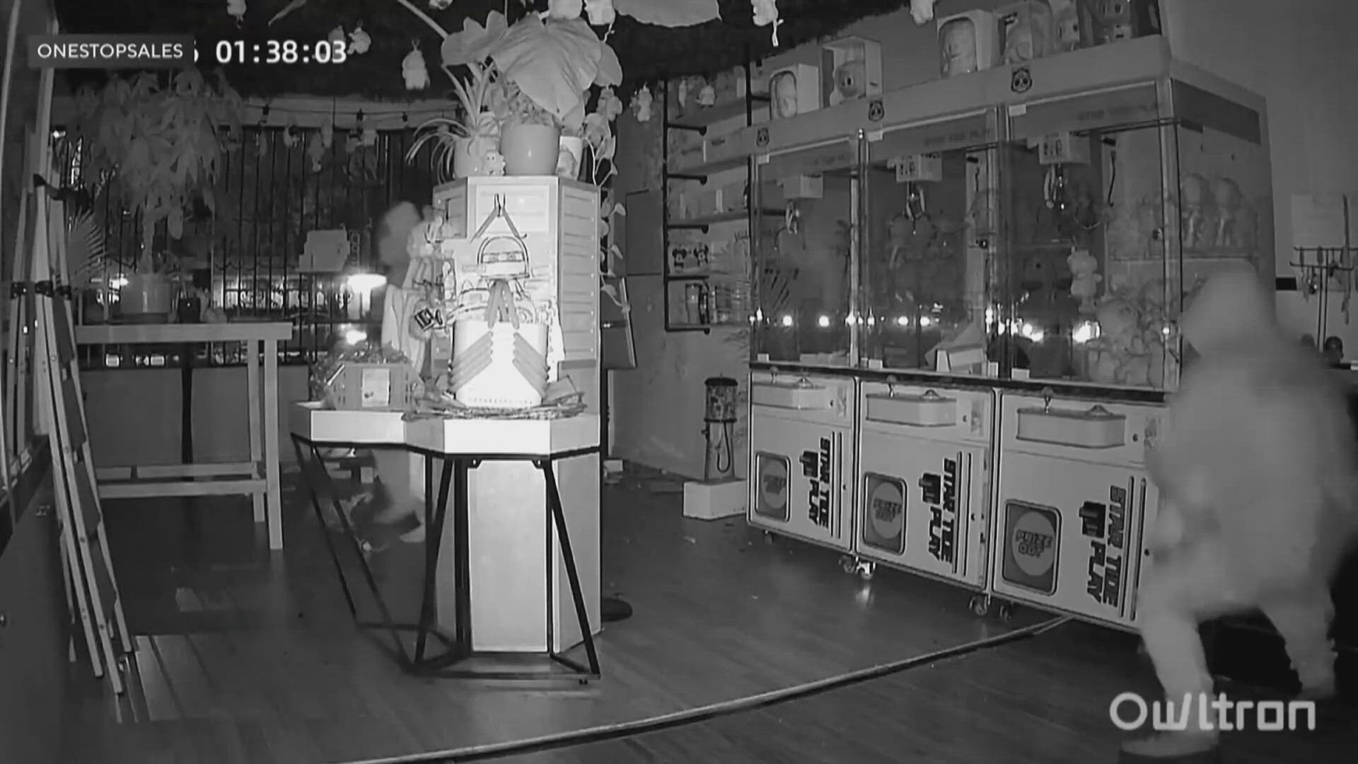 A Los Angeles store owner says thieves stole about $30,000 worth of collectible Labubu dolls.