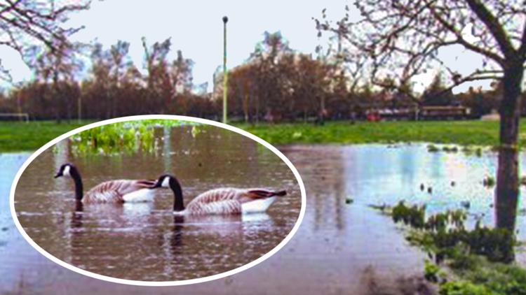 Pumping stormwater into South Sacramento park combats flooding, officials say