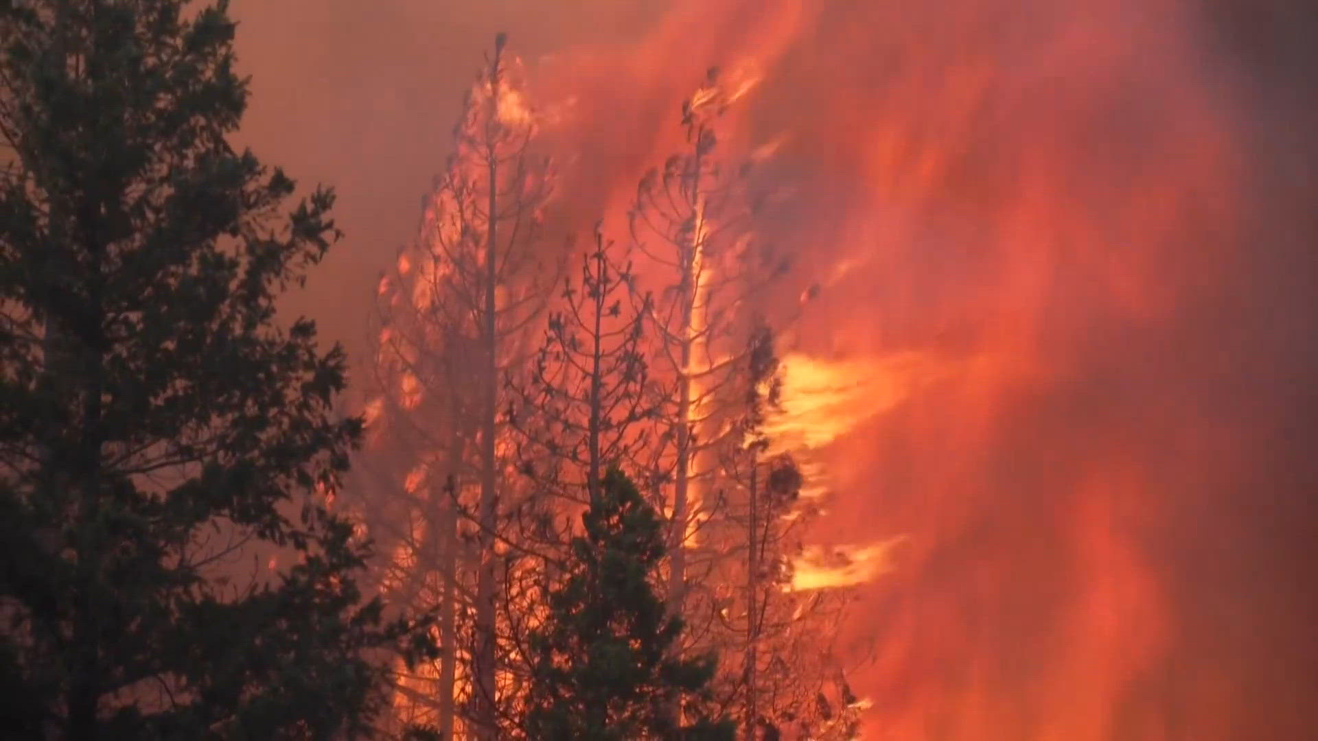 Safety Rulr New wildfire safety rules are coming for California homeowners. Here's ...