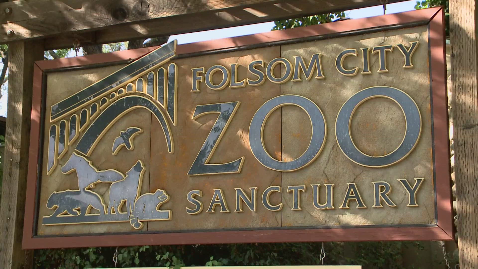 Folsom City Zoo Sanctuary facing fines for fences abc10