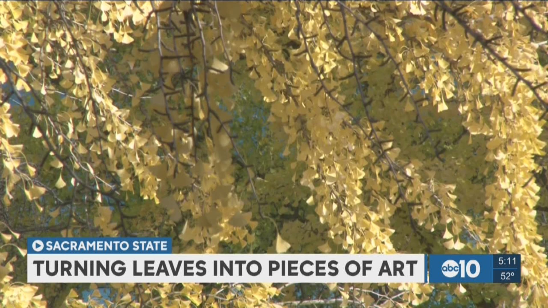 Each fall for the past four years Joanna Hedrick arranges leaves, one by one, into works of art. (Nov. 23, 2016)