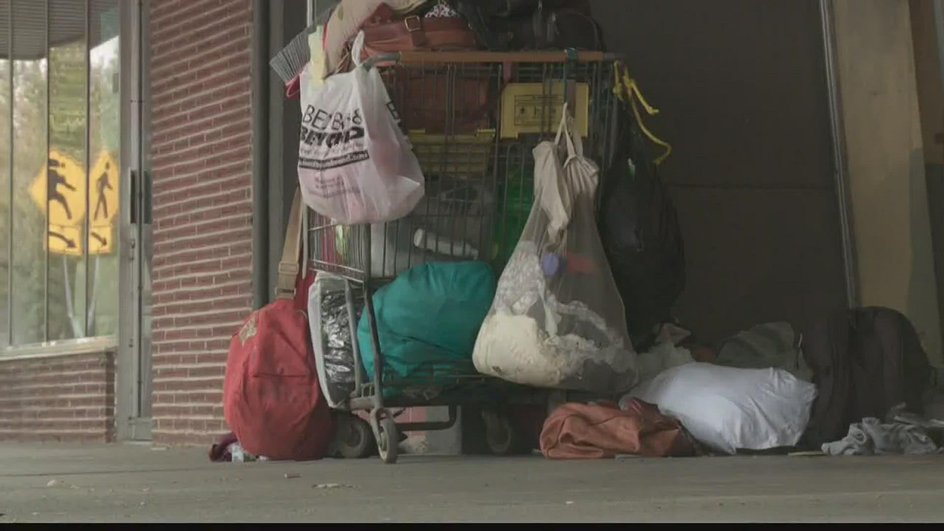 Land Park residents are raising awareness of homelessness and issues such as trash, needles, and feces through a Facebook group.