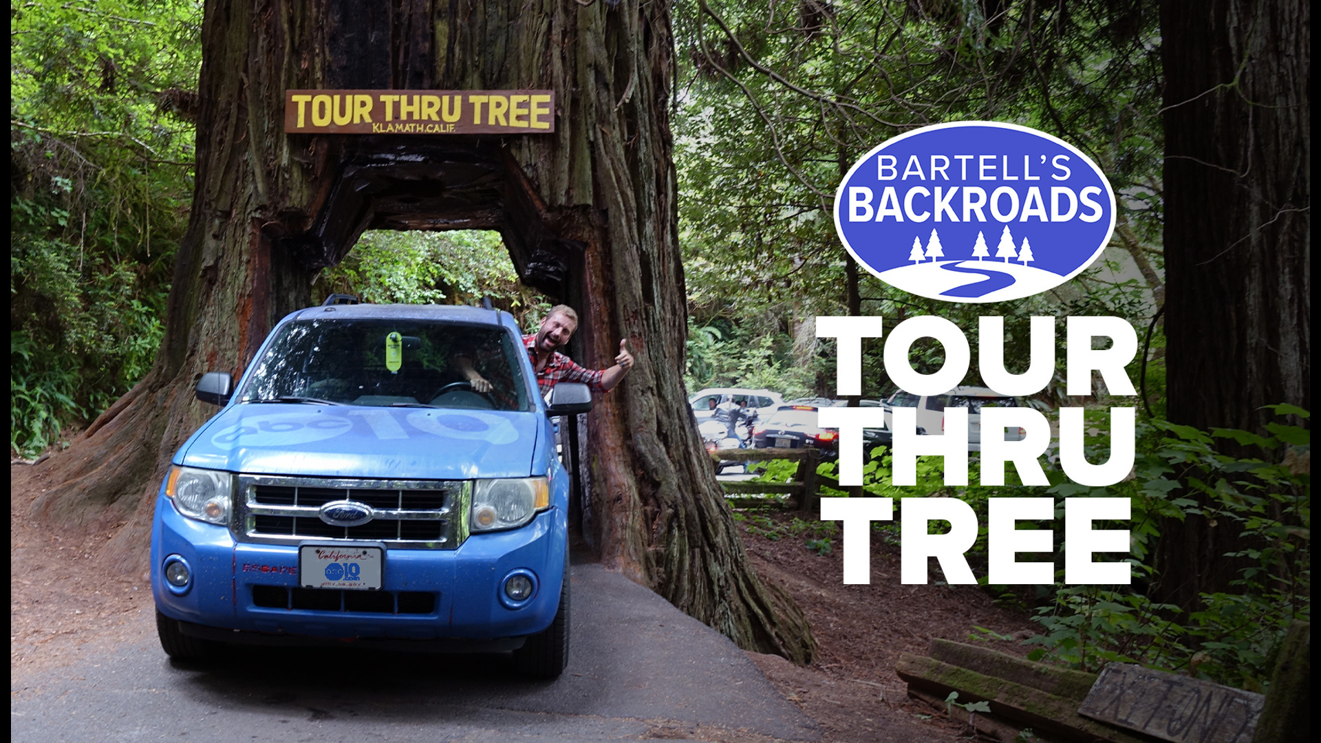 The Tour Thru Tree in Klamath, California is a tunnel carved out of a massive redwood tree stump. John Bartell makes a pit stop on the Backroads.