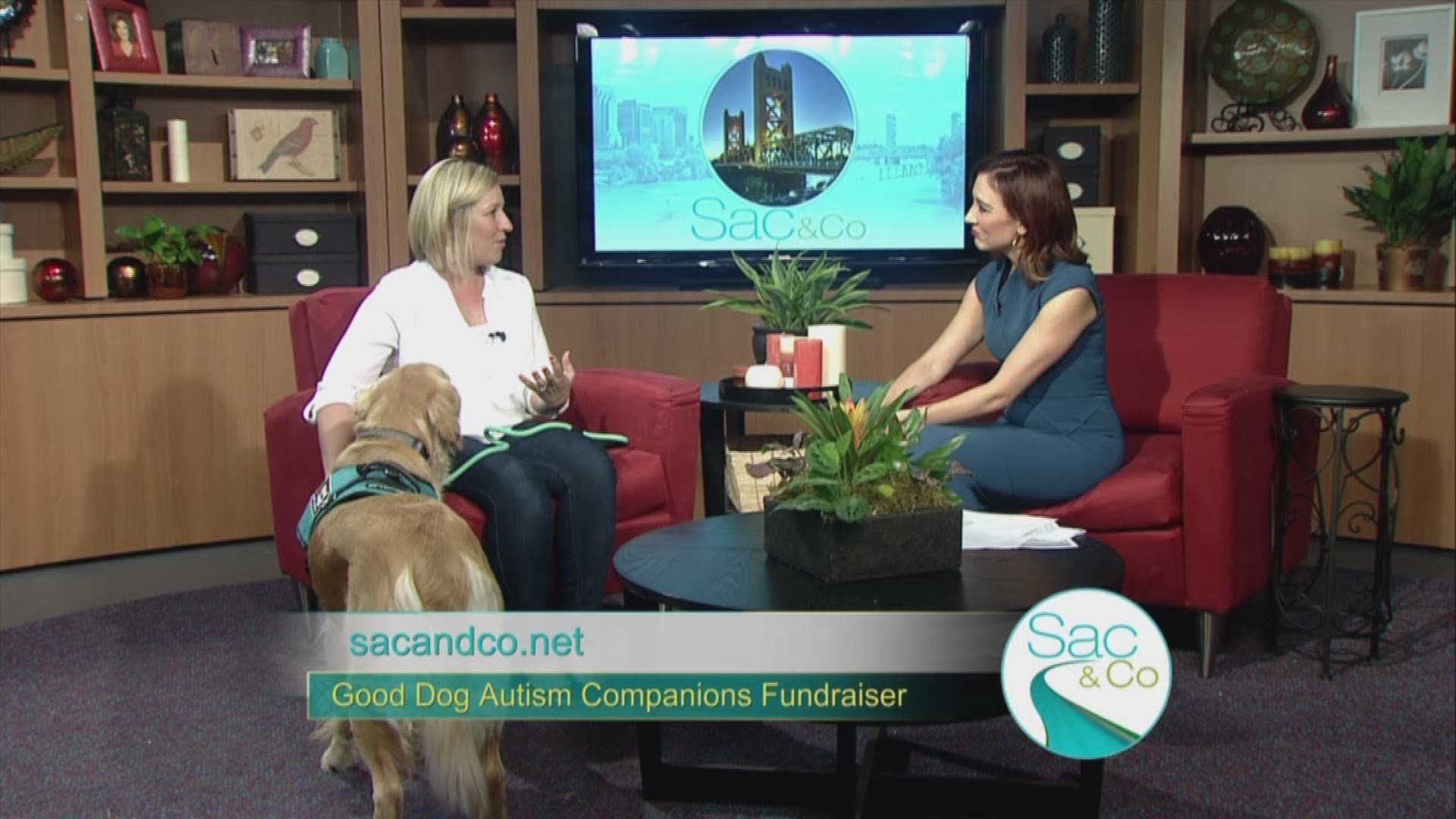 Non-profit organization that pairs trained therapy dogs with autistic children.
