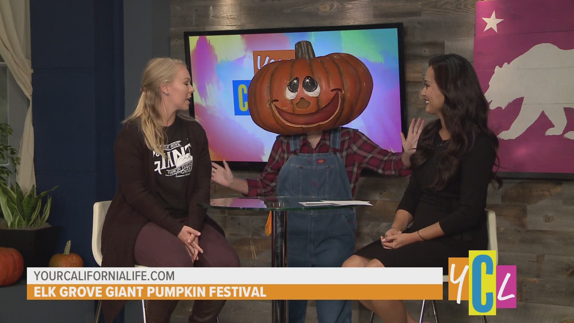 If you’re looking for some fall weekend fun head over to Elk Grove’s Giant Pumpkin Festival where you can expect to taste many different pumpkin inspired foods.