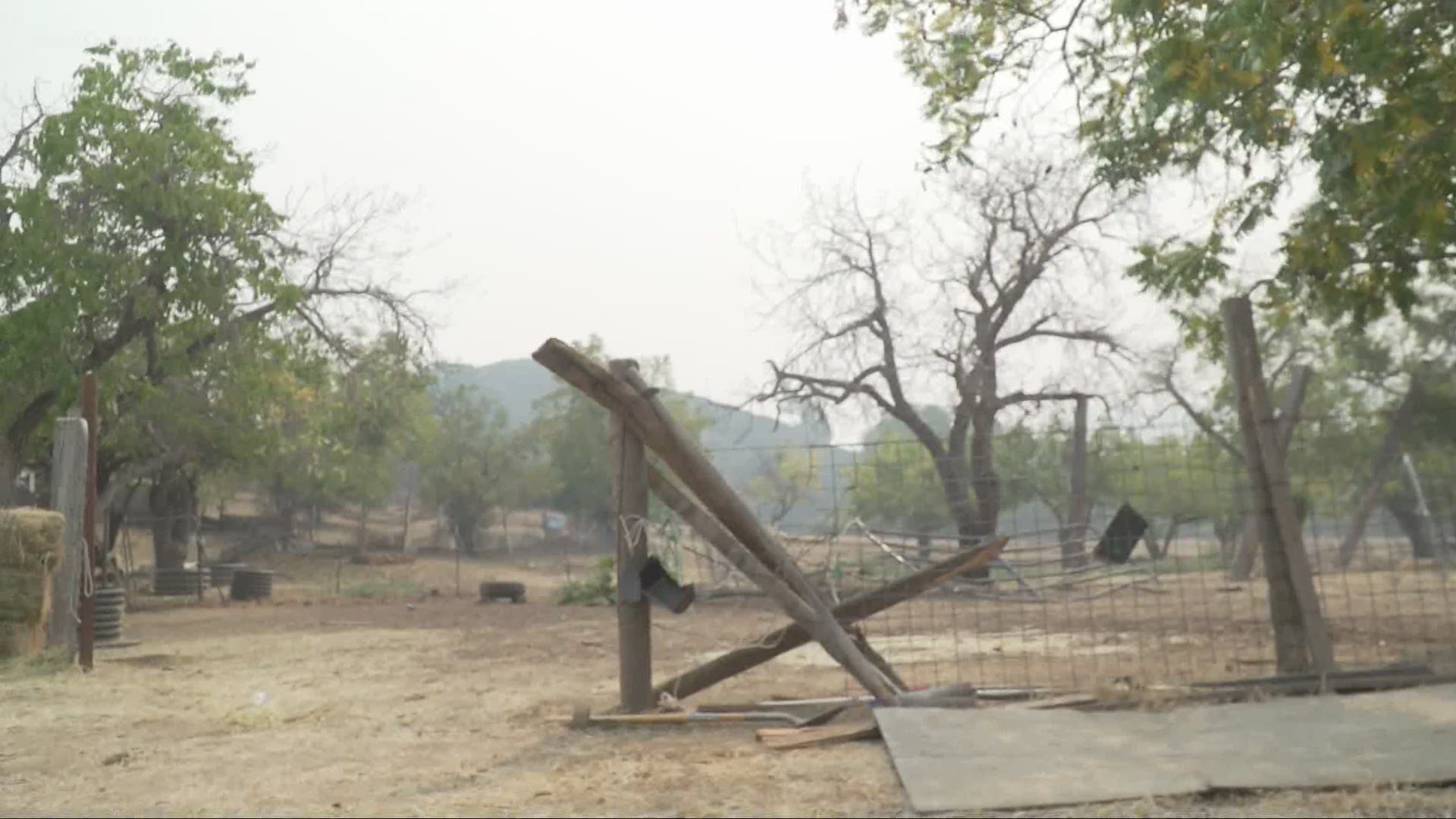 A homeowner says his cattle would not have survived if it wasn't for a bull that broke through the fence while the fires were threatening them.