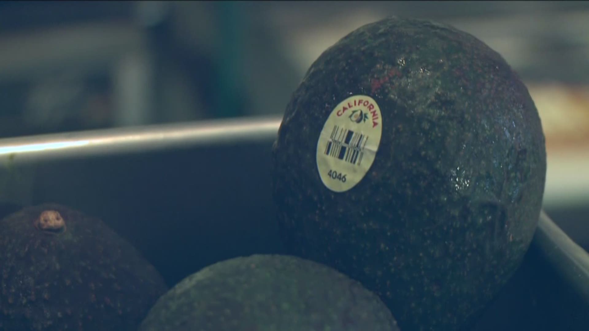 Are Californians getting rich off of growing avocados? ABC10's Gabrielle Karol went to find out.