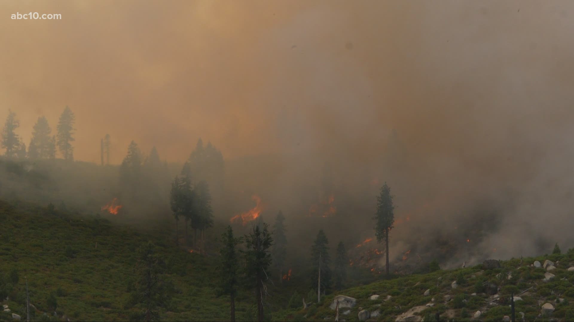 Stay with ABC10 for the latest updates on the Frenchtown, Tamarack, and Dixie Fires.