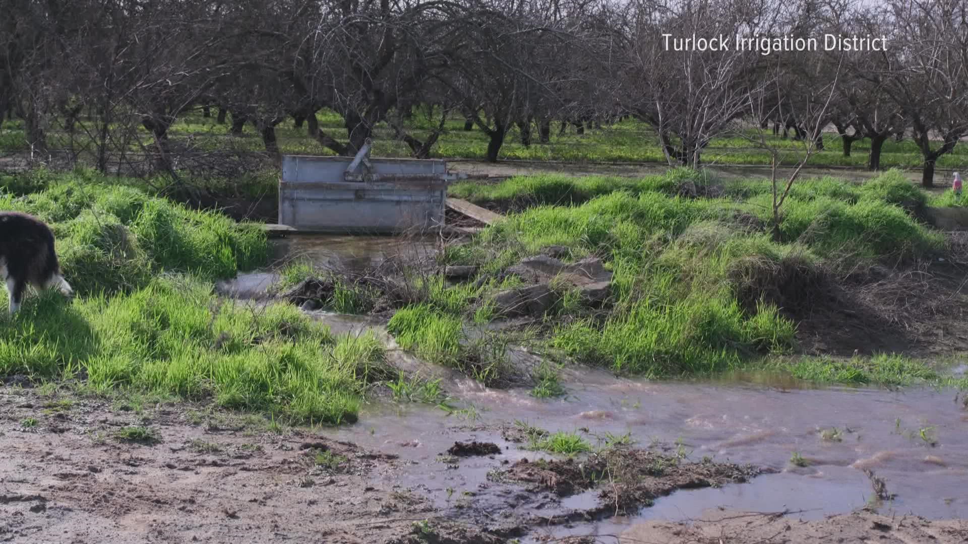 Turlock Irrigation District is trying to better capture and utilize the storm water that might be flushed out to ocean through FloodMAR.