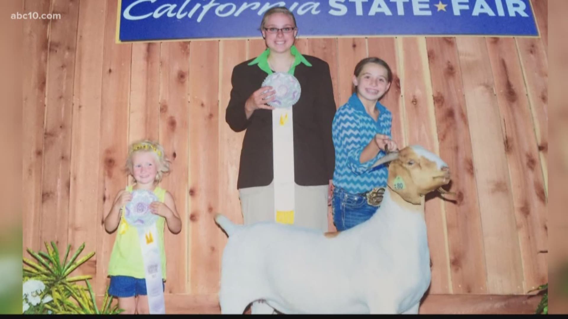 A family is searching for their pregnant show goat who is missing in Lodi.