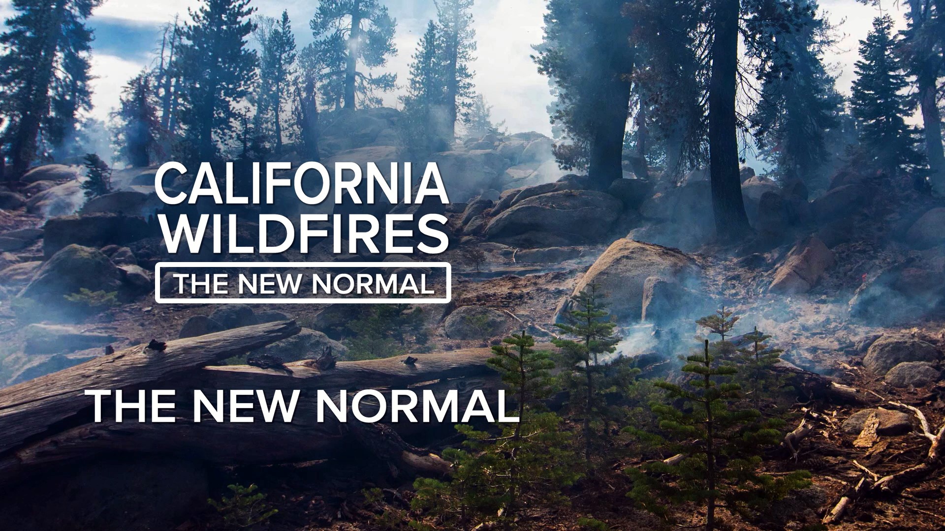 California's leaders tell us we've entered a "new normal" of more intense wildfires. The truth is: Experts think the deadly megafires we've seen are just a preview of the new normal.