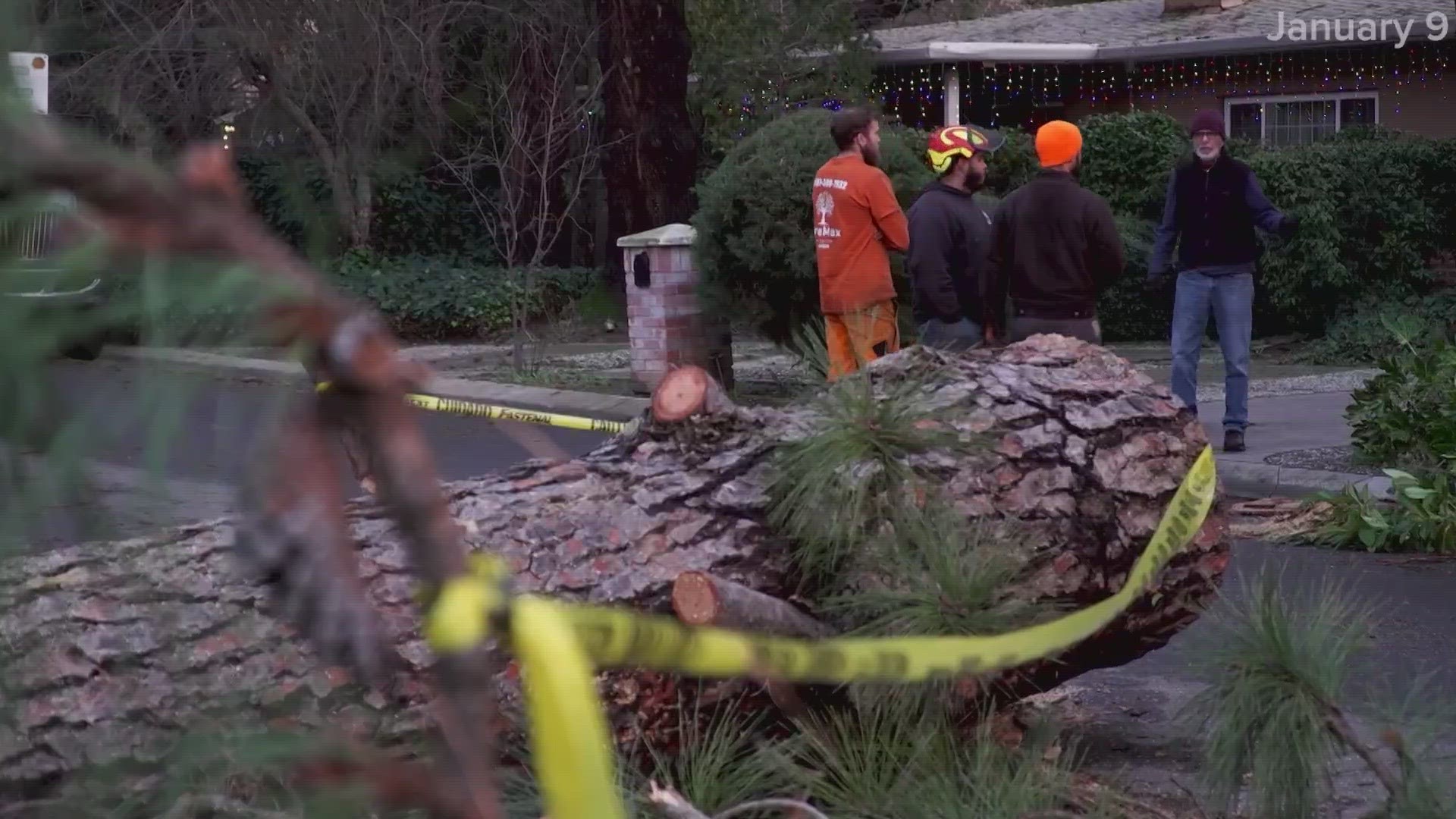 With soils already saturated and high winds expected in coming days, more trees could fall