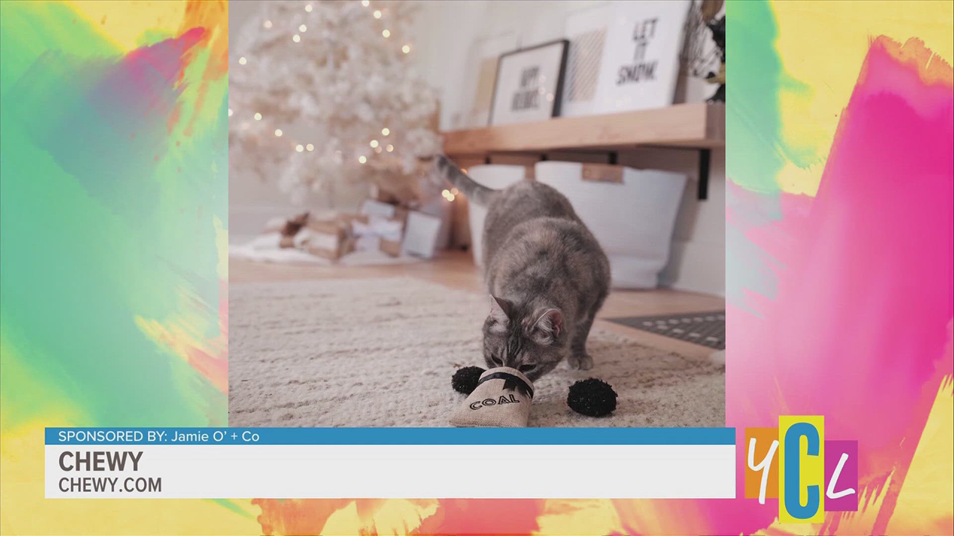 This holiday season, treat yourself or loved ones to glowing skin, healthy hair, festive décor, and fun pet gifts—Hit play for all the details! Sponsored by Jamie O’