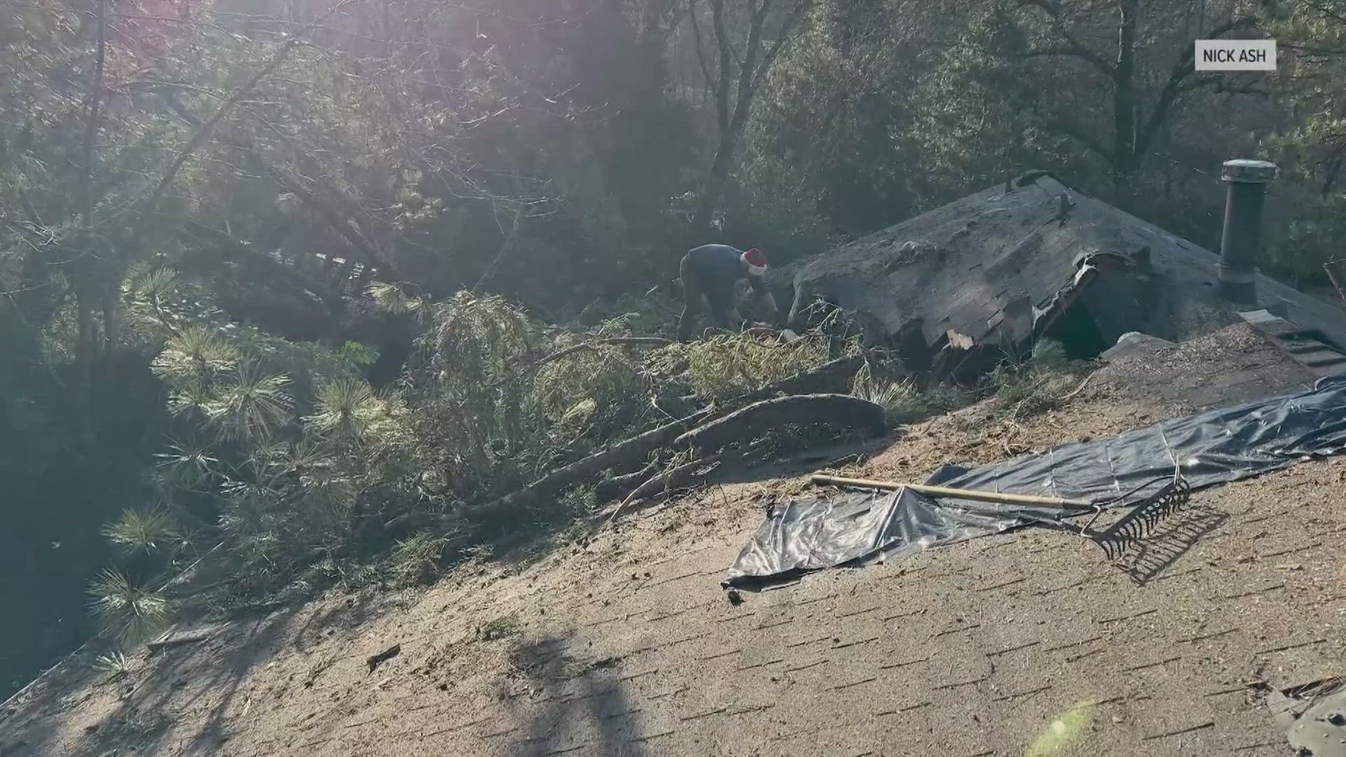 A Placer County couple's home was struck by a massive Ponderosa pine. 