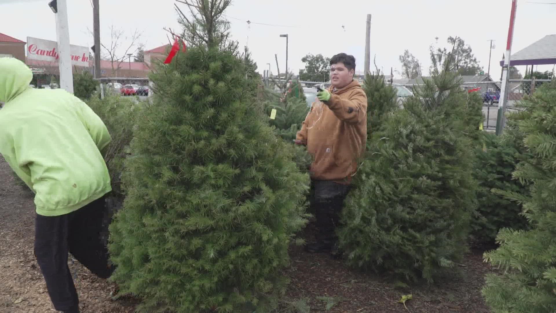 For Boy Scout Troop 1119, their hopes of spreading Christmas cheer were nearly dashed by the weekend's winter storm.