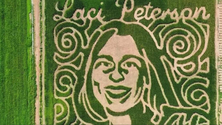 'A great honor' | Laci Peterson Corn Maze in Modesto