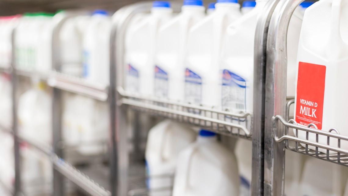 Why dairy farms are dumping instead of donating milk