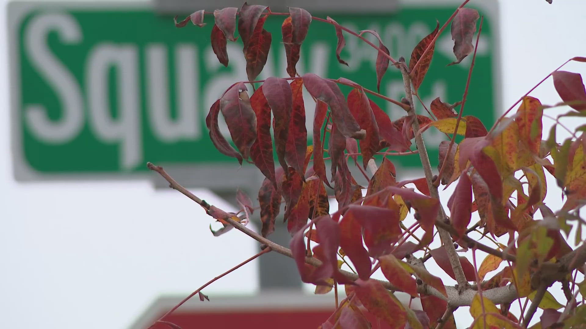 Local governments are required to change the street signs starting Jan. 1, 2025.