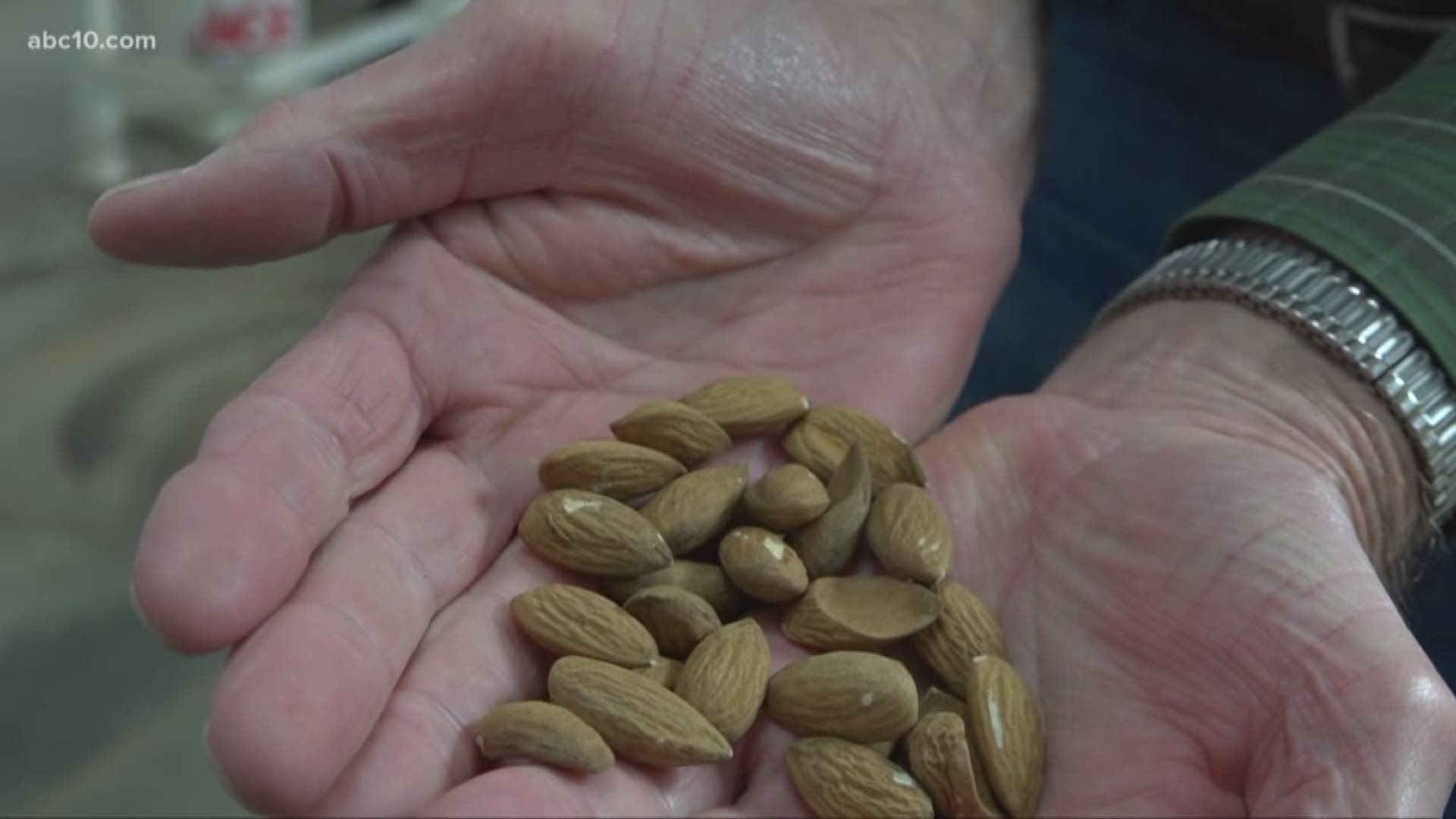 The deal with China mentions the big crops commonly grown in the Midwest like corn and soybeans. What it fails to mention is specialty crops like almonds.