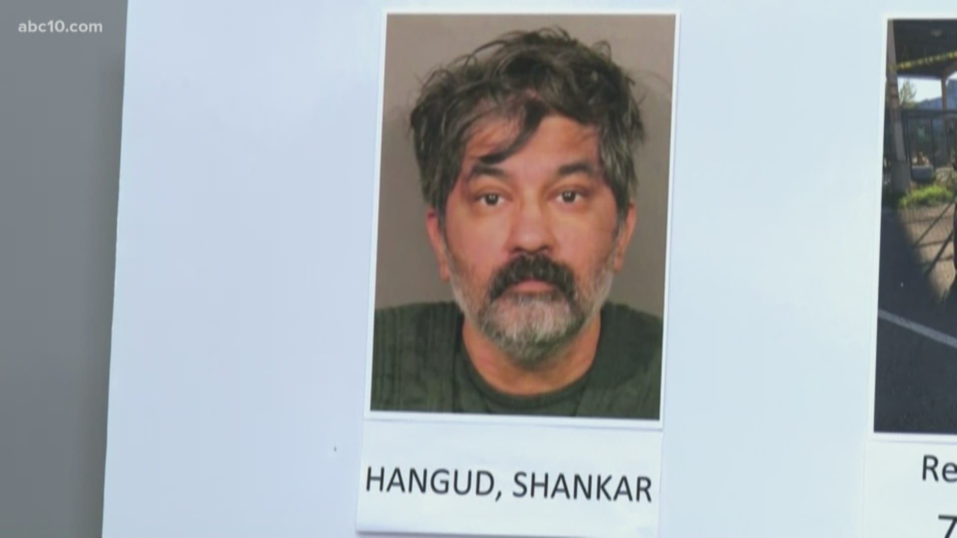 Two adults and two juveniles are dead and the suspect, Shankar Hangud, of Roseville, is in police custody.