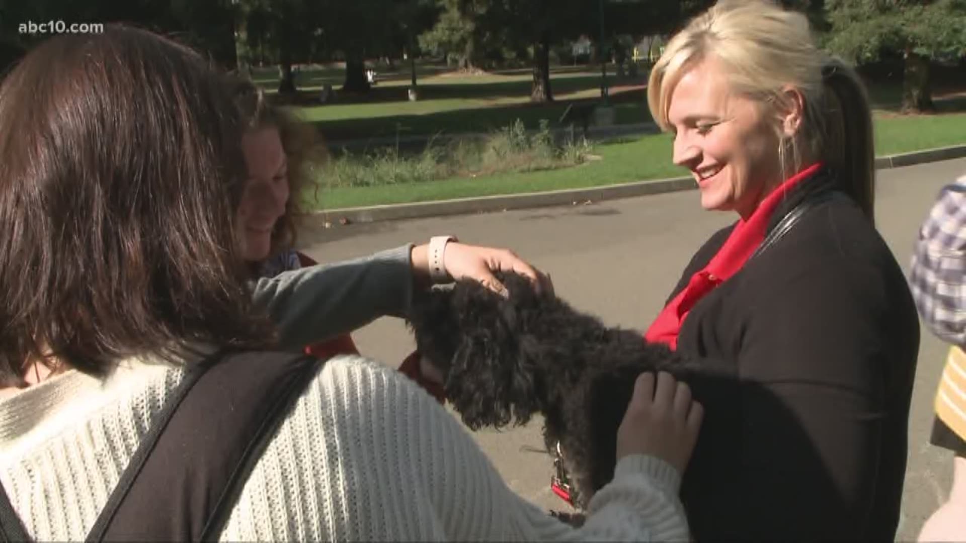 Therapy dogs helped relieve stress for students at Sac State during midterms on Tuesday.