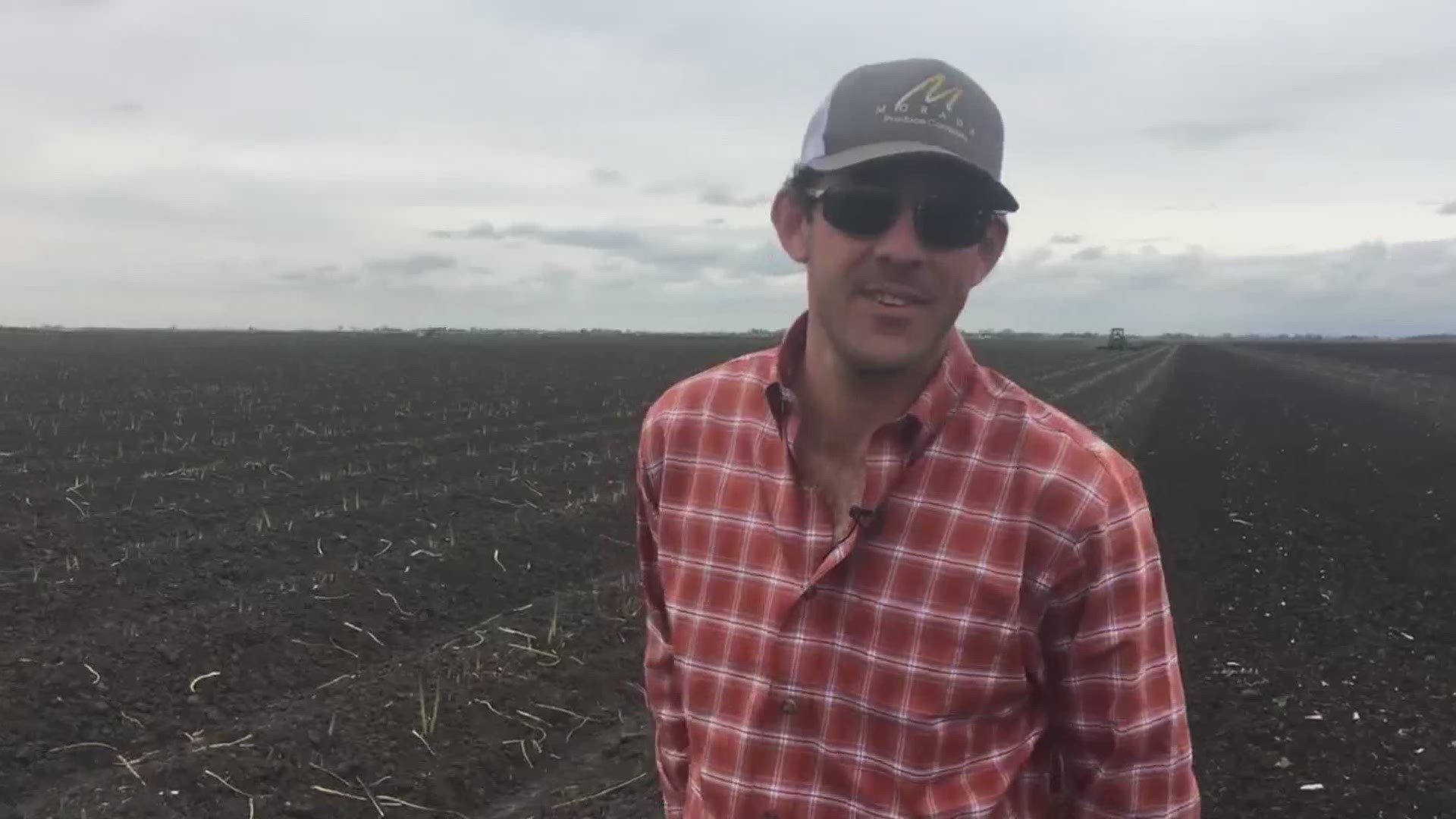 Jeff Klein, with Klein Family Farms, tells ABC10 that the 10,000-acre farm is "discing out" 200 acres of perfectly good asparagus because he can't compete with imported asparagus from Mexico. That means that after all of his hard work, his crop is literally going to waste because it isn't being purchased.